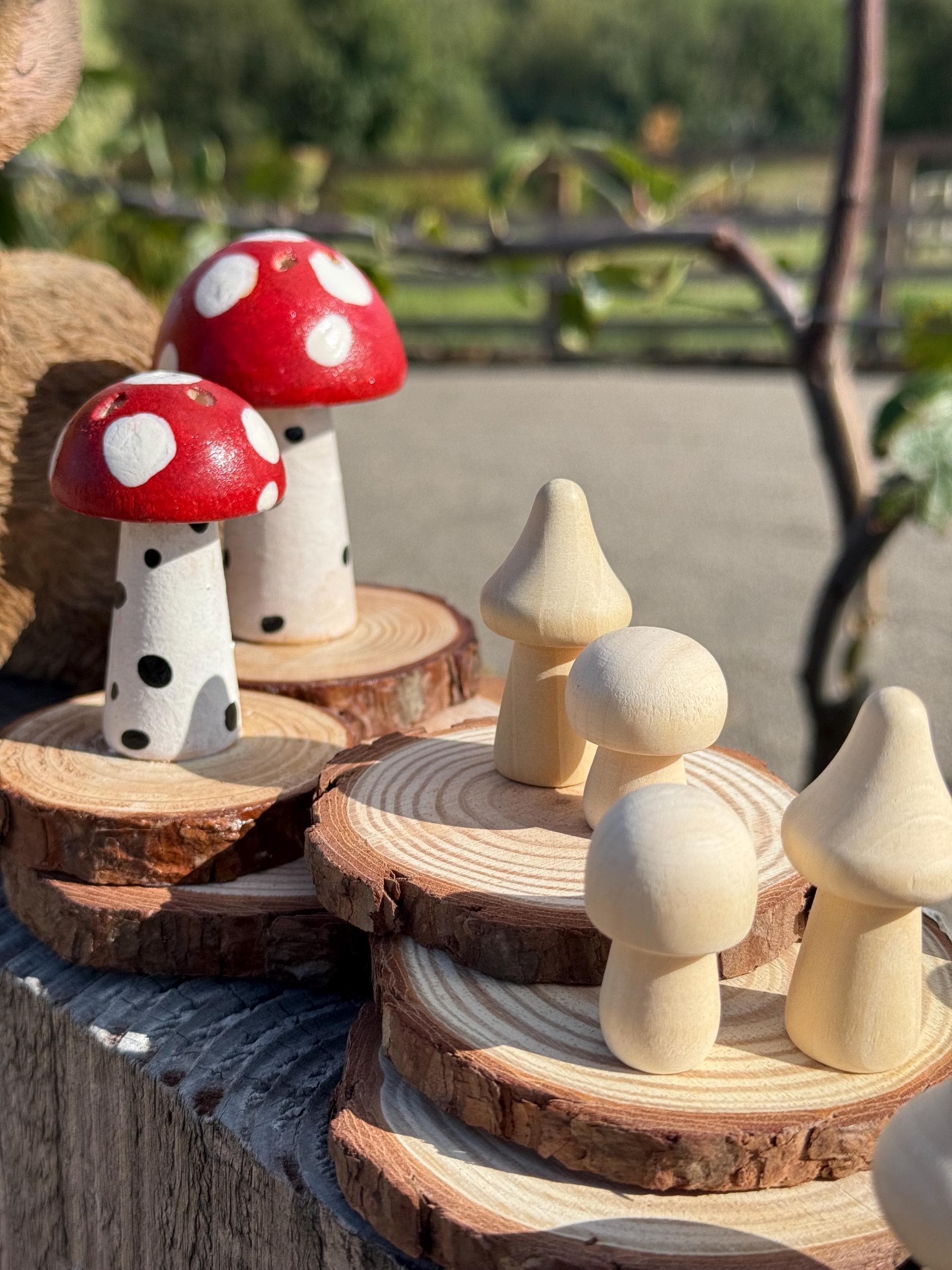 Wooden Mushrooms Hamster Chew | Woodland Decor| Cottage Decoration Fairy