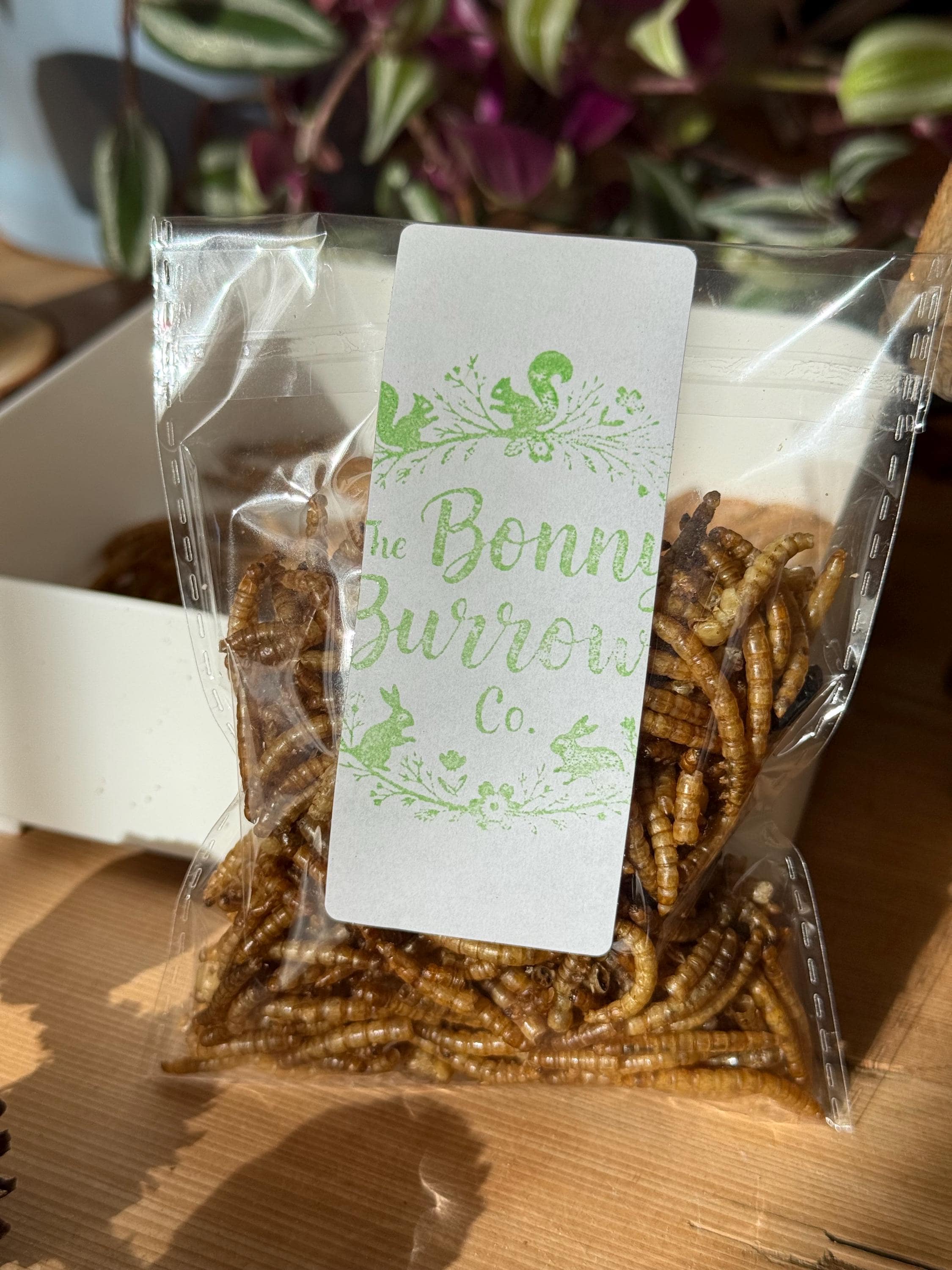 Dried Mealworms For Small Animals, Birds, Hamster Treats