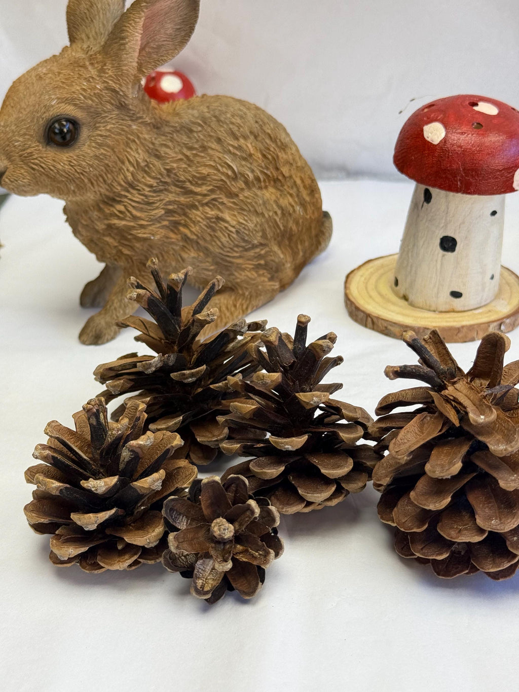 Natural Untreated Pine Cones Enrichment For Small Animals