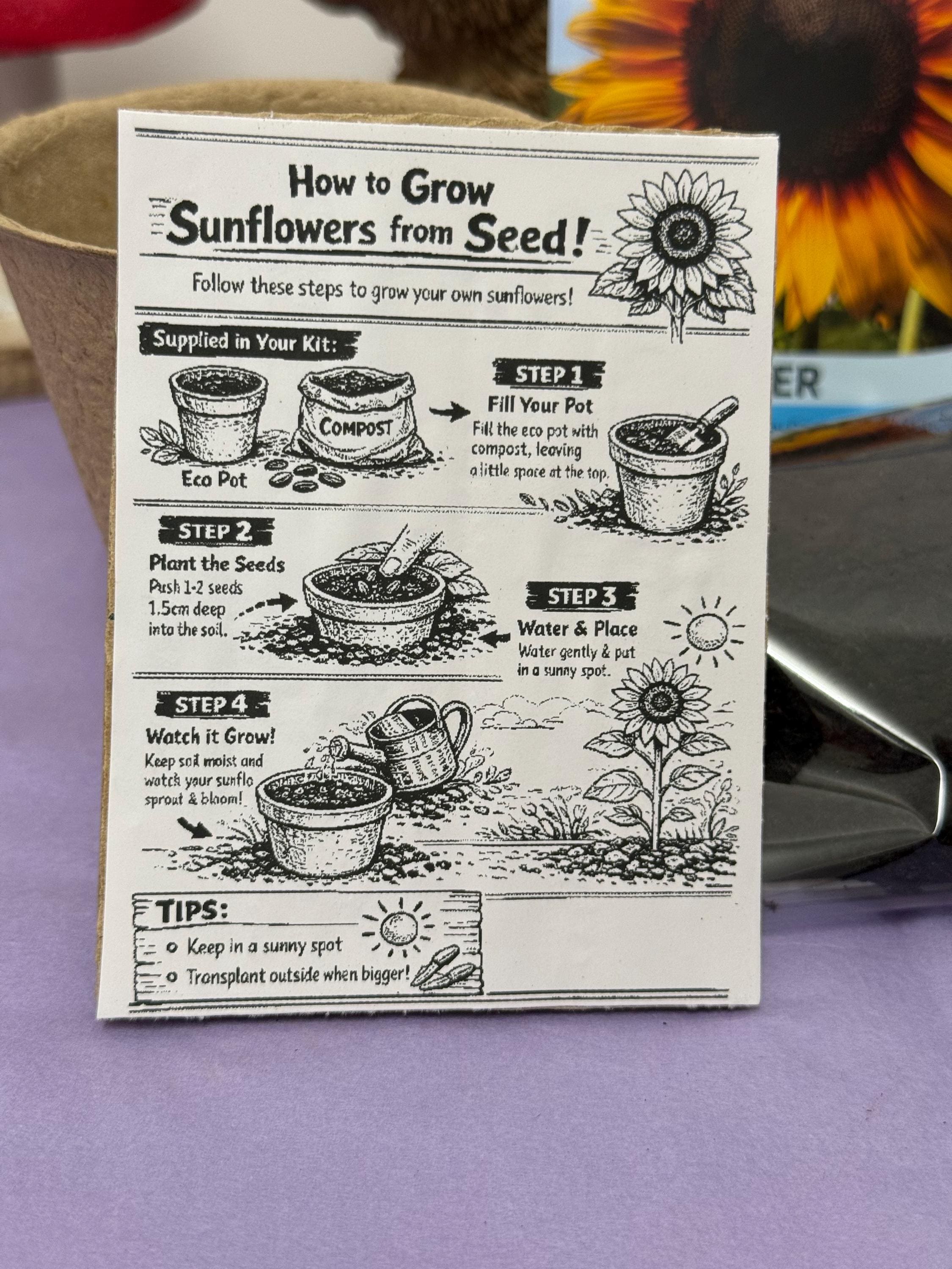 Grow Your Own Sunflower Kit! Eco Friendly Gift