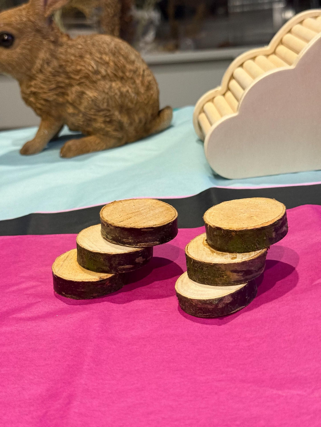 Mini Steps For Hamster & Small Animal Cages