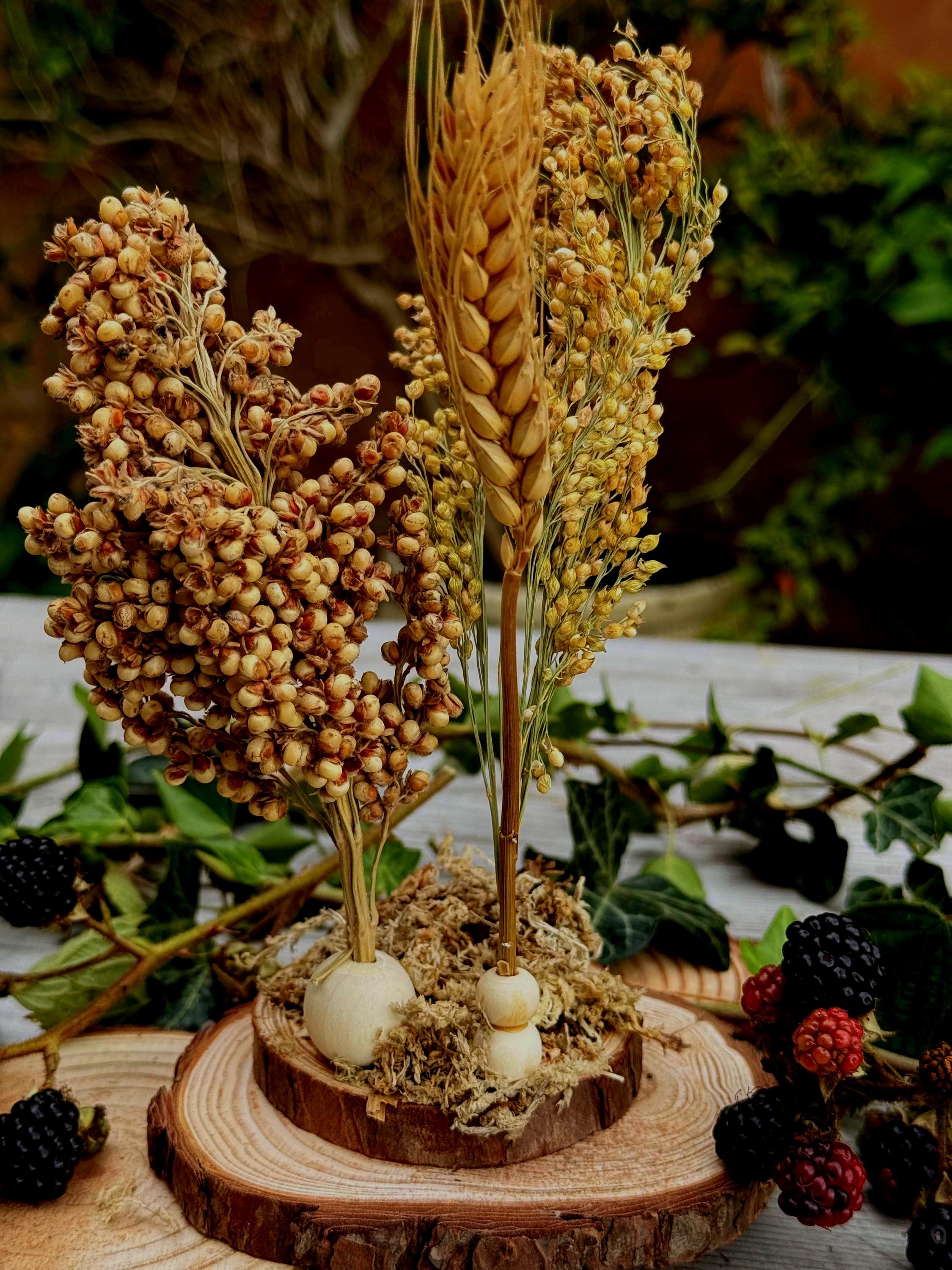 Moss Covered Hamster Spray Holder: Natural Foraging Enrichment