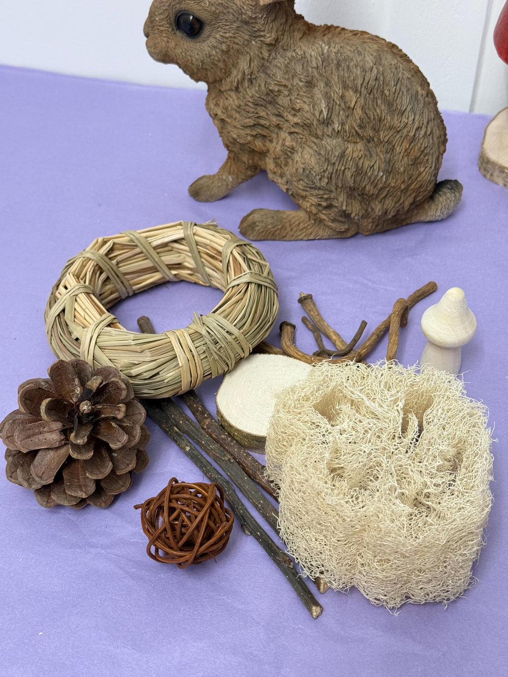 Rabbit & Guineapig Natural Chews Bundle, Chews And Treats