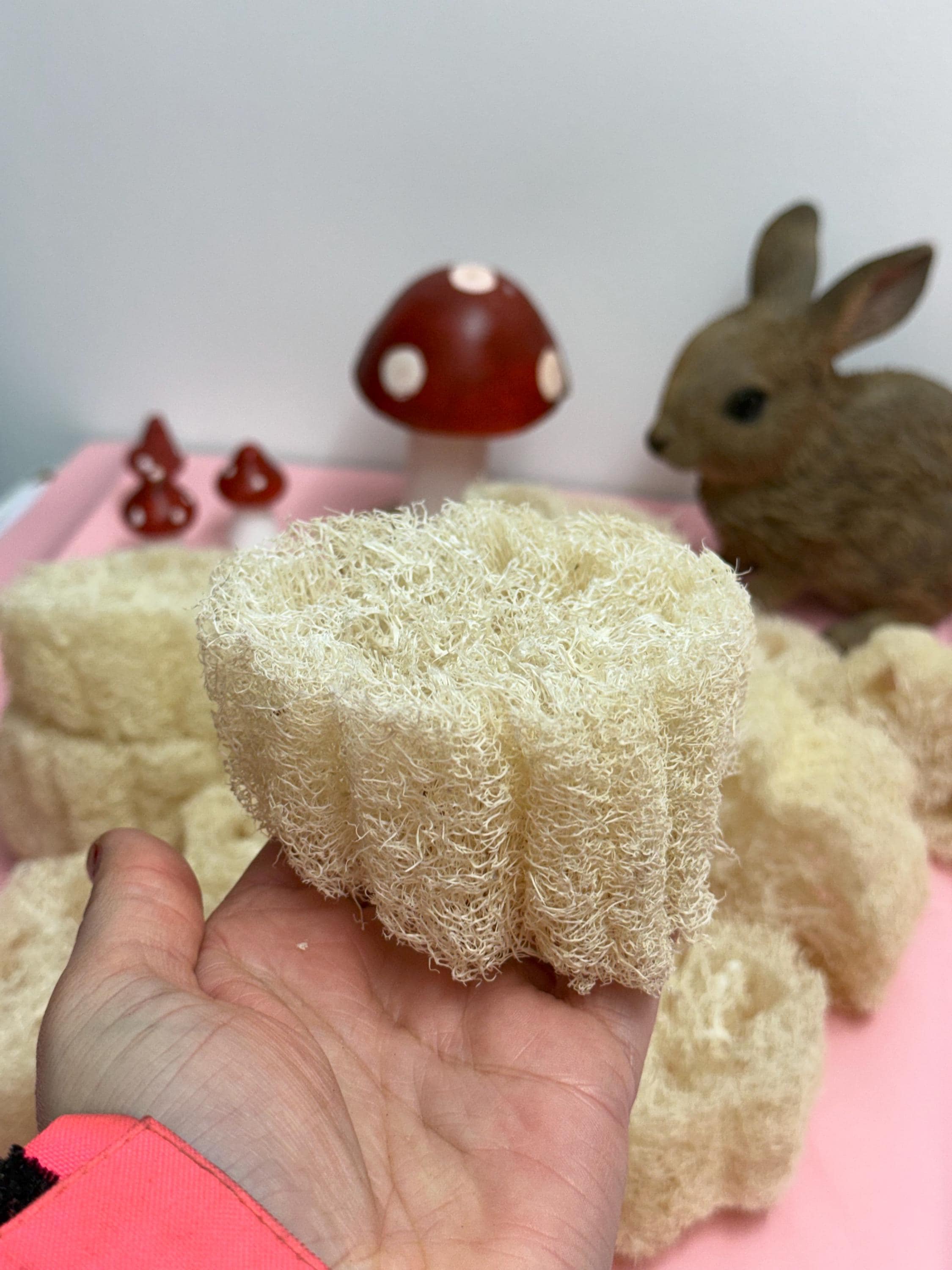 Chunky Natural Loofah Slice Thick - Enrichment For Small Animals