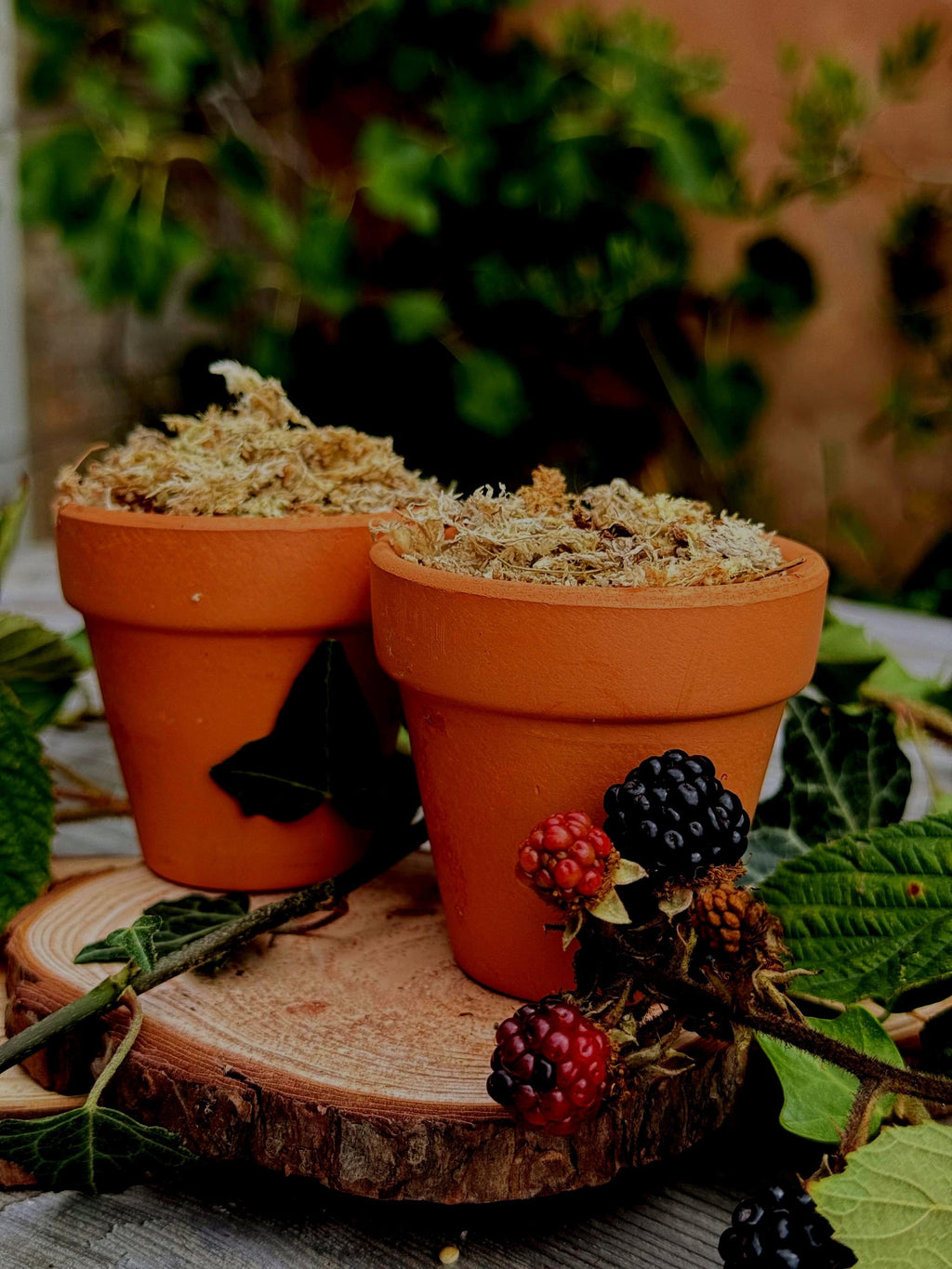 Mini Moss Snuffle Pot: Terracotta Hamster Enrichment Toy