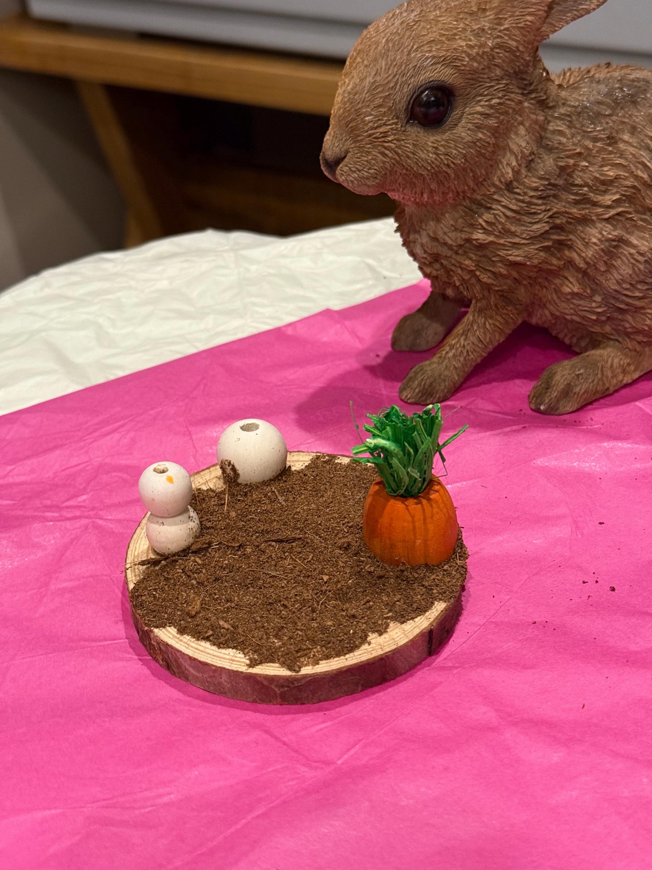 Carrot Patch Coco Soil Hamster Spray Holder