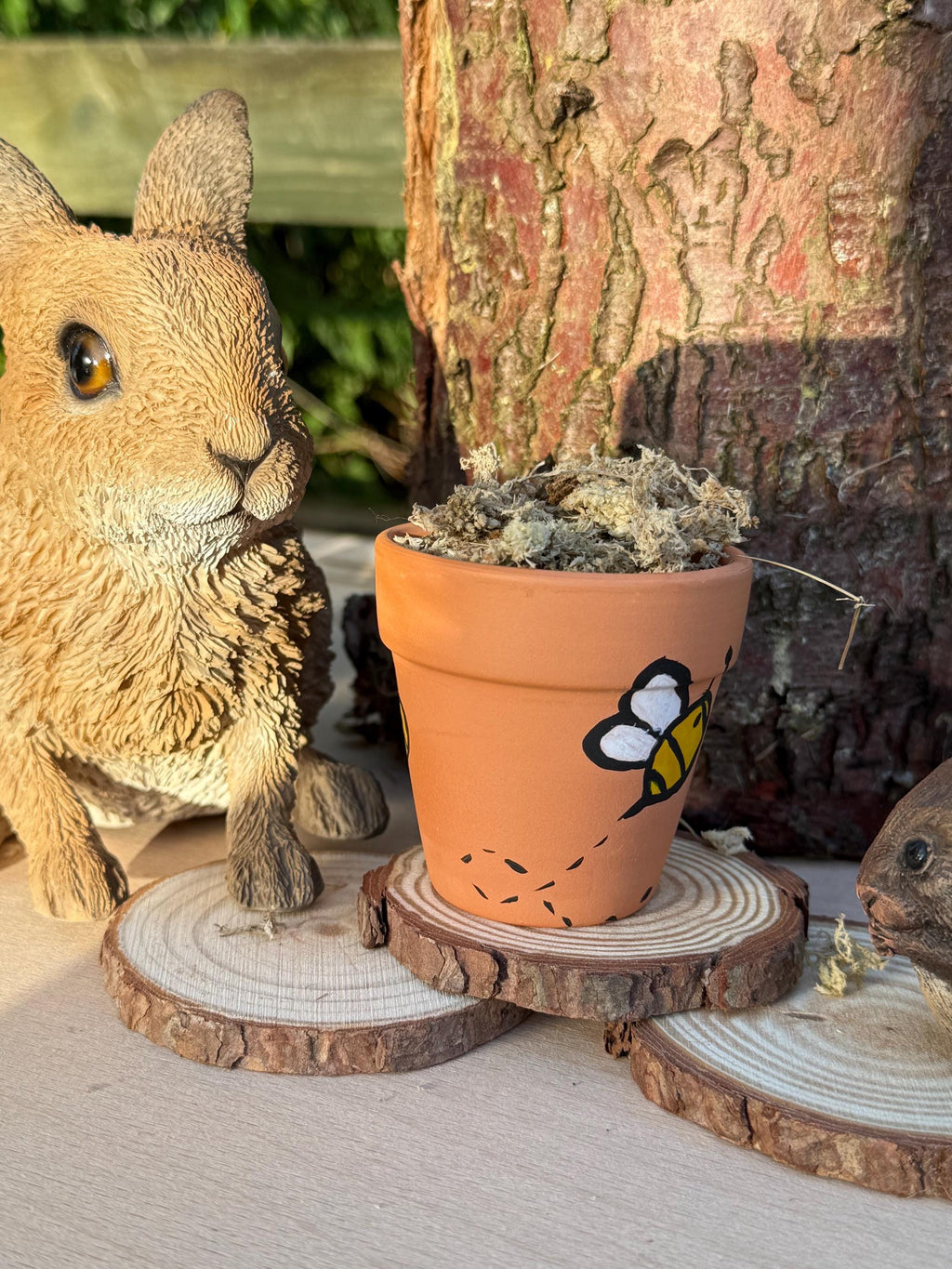 Hand-Painted Bee Mini Plant Pot Safe Moss For Hamsters