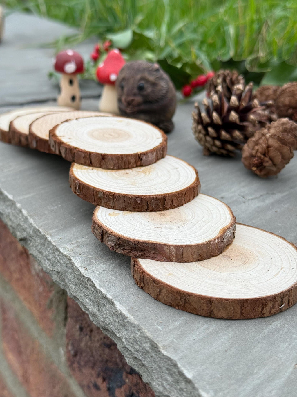 Hamster Wooden (hazel) Stepping Stone Bridge For Hamster Cages