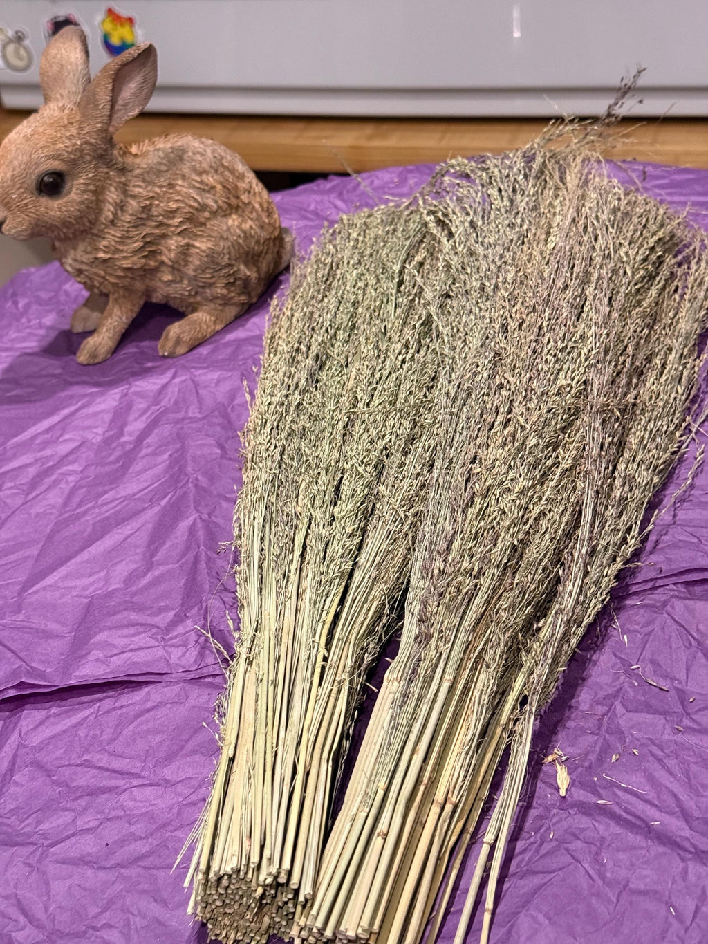 Organic Pagima Grass Sprays For Hamsters