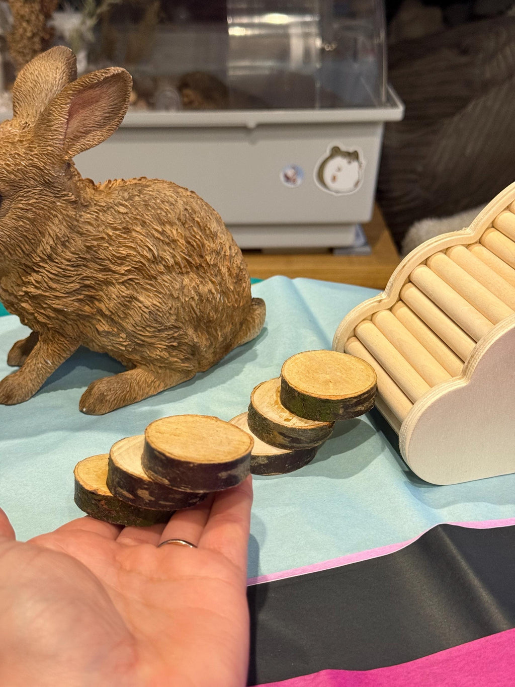 Mini Steps For Hamster & Small Animal Cages