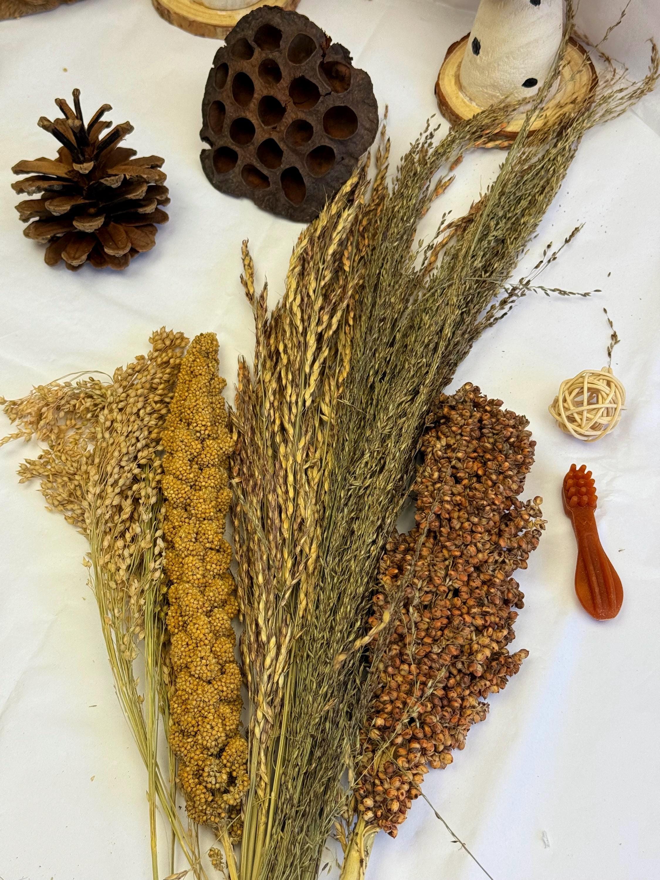 Mini Hamster Enrichment Bundle Sprays, Treats & Toys