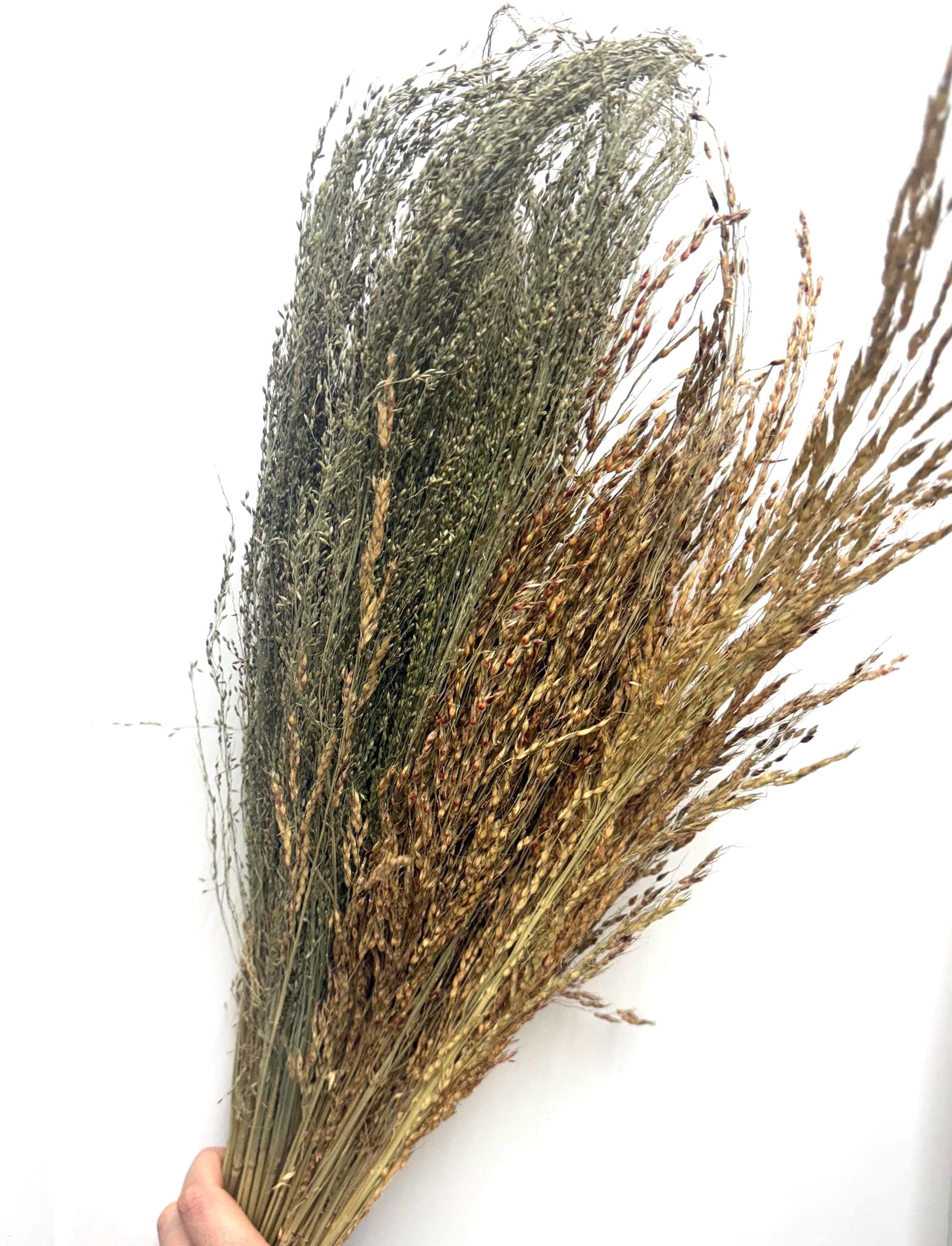 100g Delicha & Pagima Grass Sprays For Hamsters