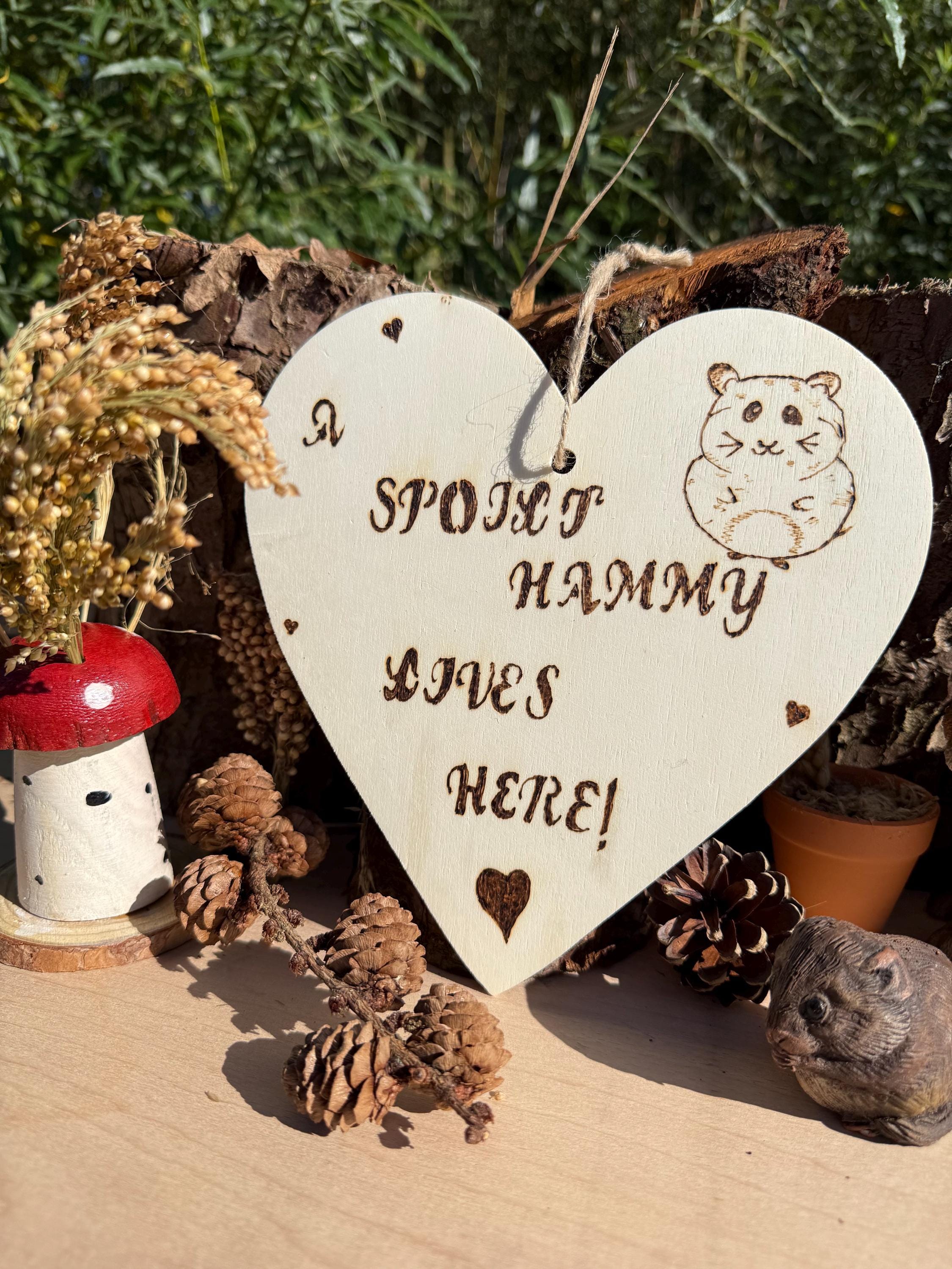 Hanging Wooden Heart Sign Hamster Home Decor