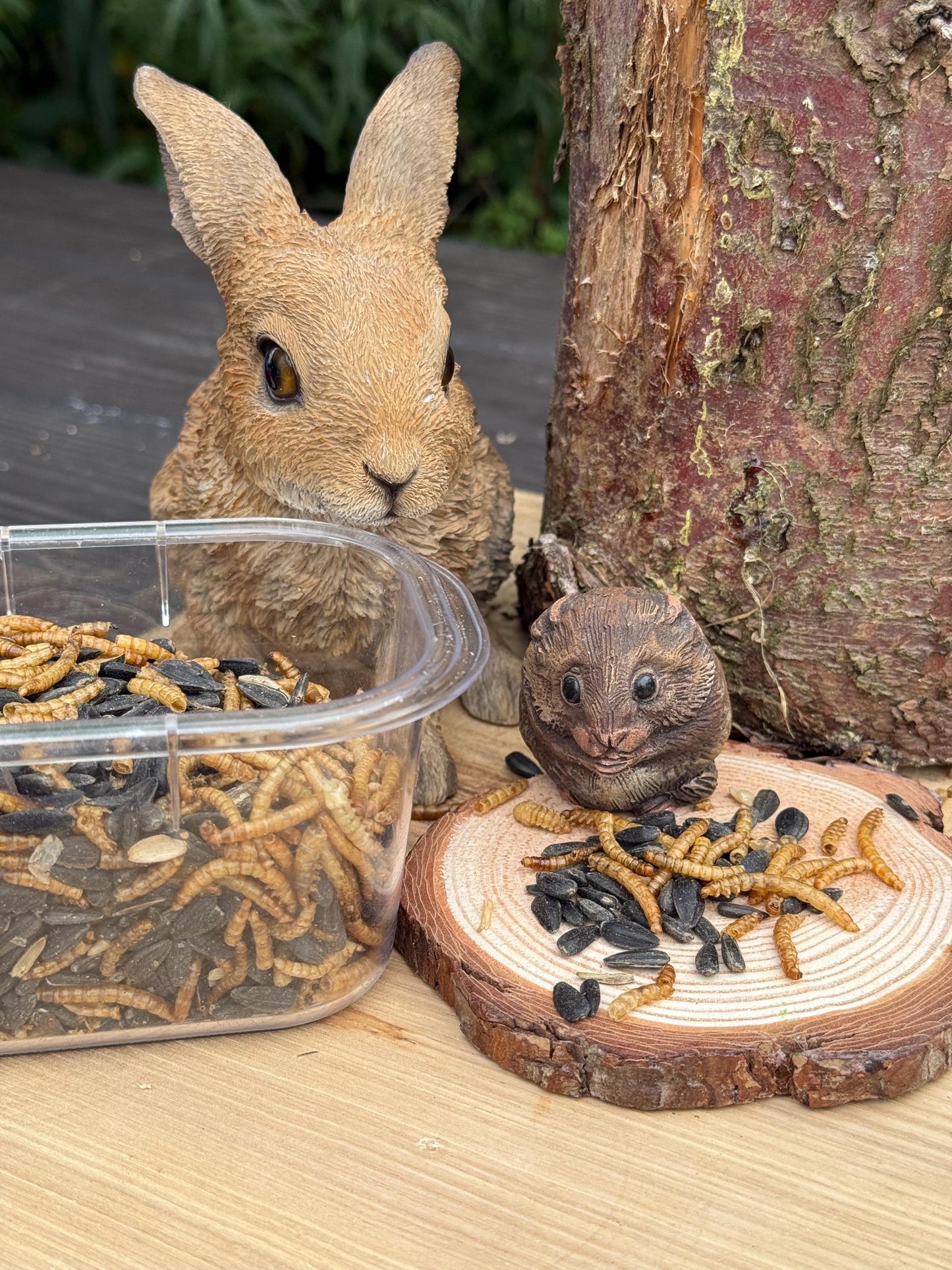 Dried Mealworm & Sunflower Seed Mix for Hamsters, Rats, Birds