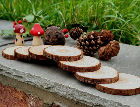 Hamster Wooden (hazel) Stepping Stone Bridge For Hamster Cages