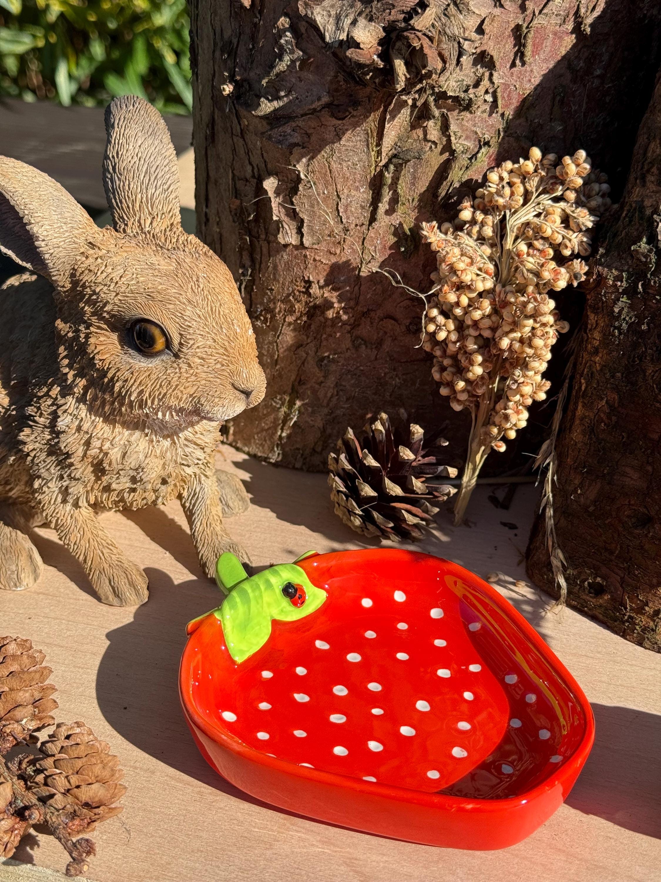 Strawberry Hamster Bowl Spotted Food Dish
