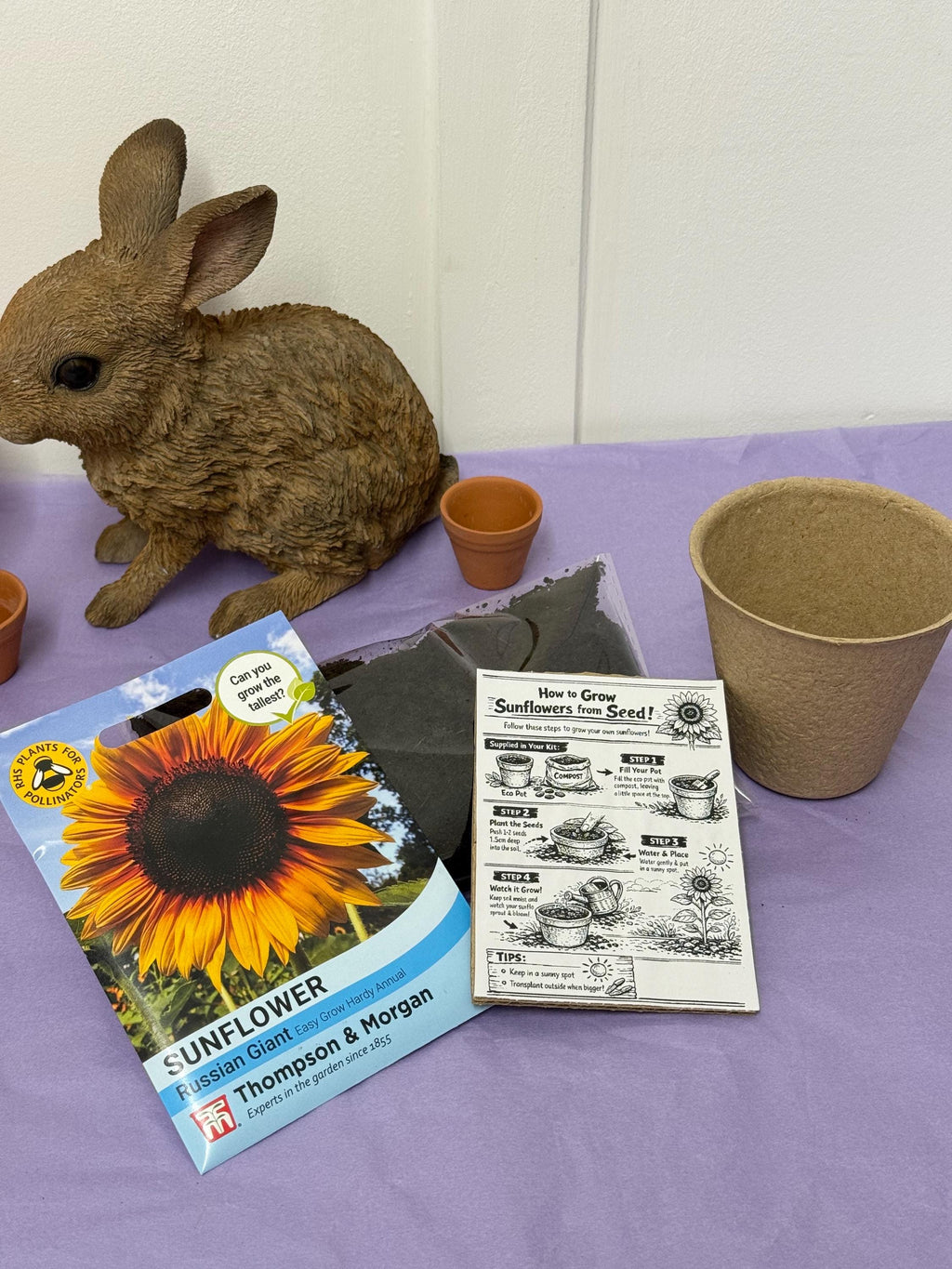 Grow Your Own Sunflower Kit! Eco Friendly Gift
