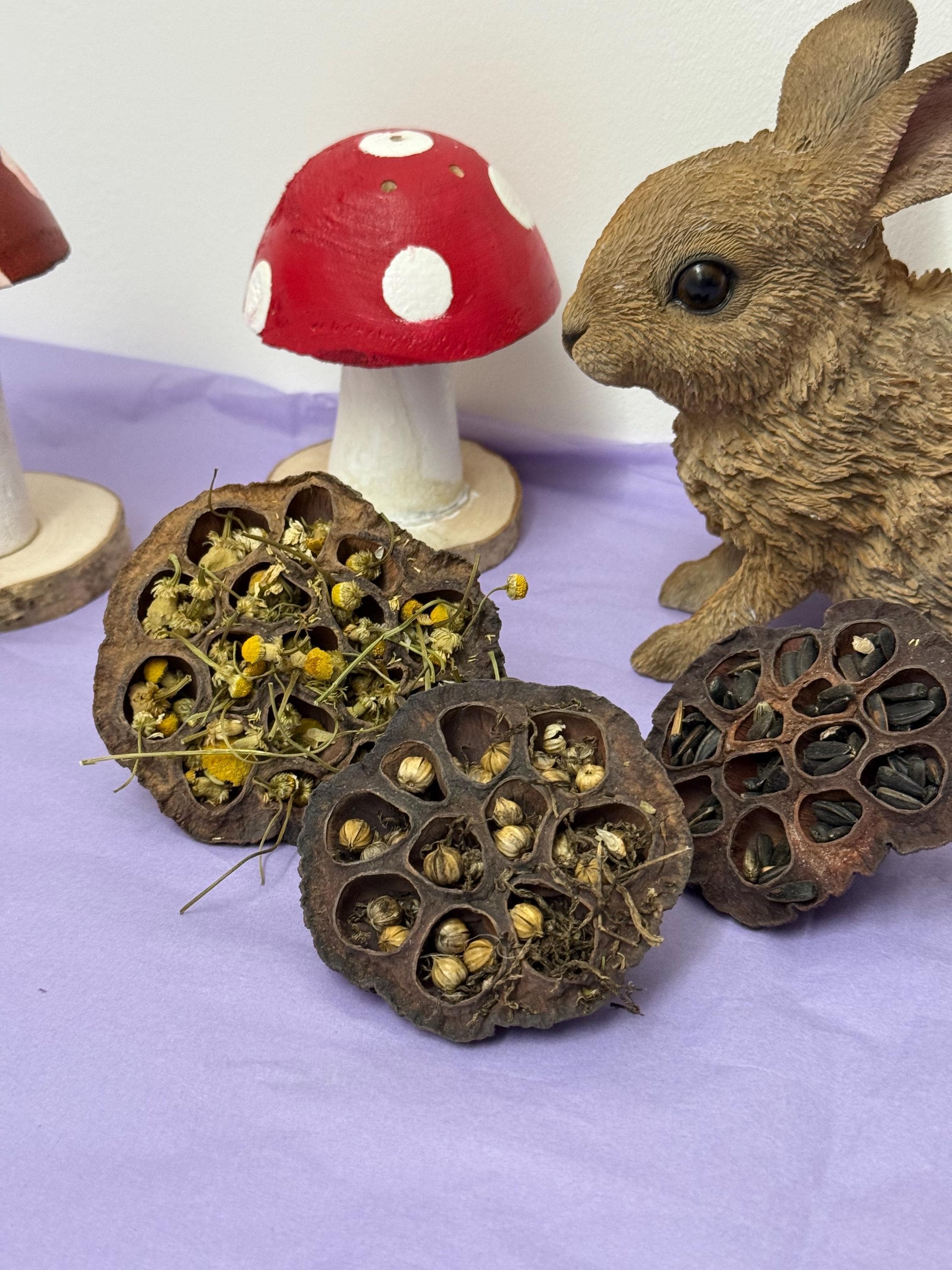 Stuffed Lotus Pods Enrichment For Hamsters & Gerbils