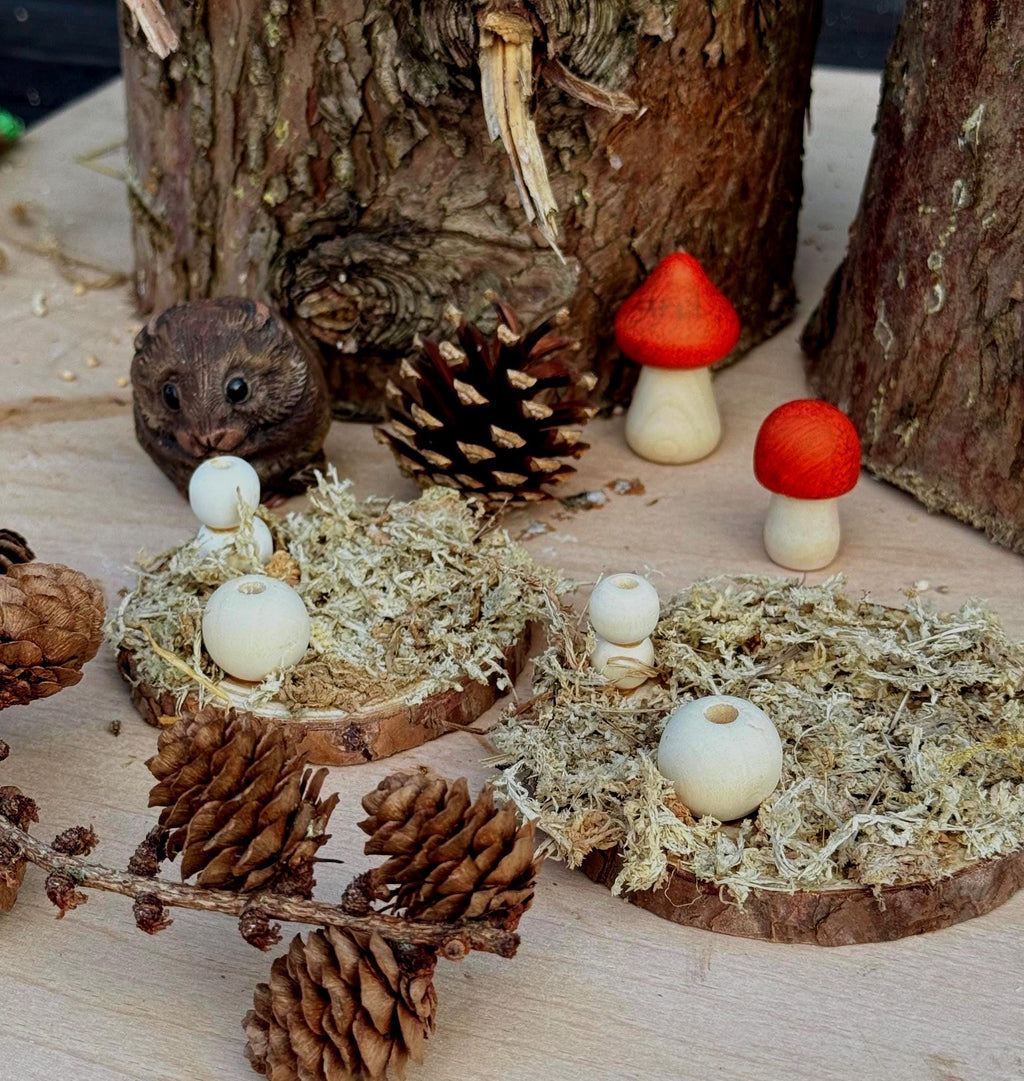 Moss Covered Hamster Spray Holder: Natural Foraging Enrichment