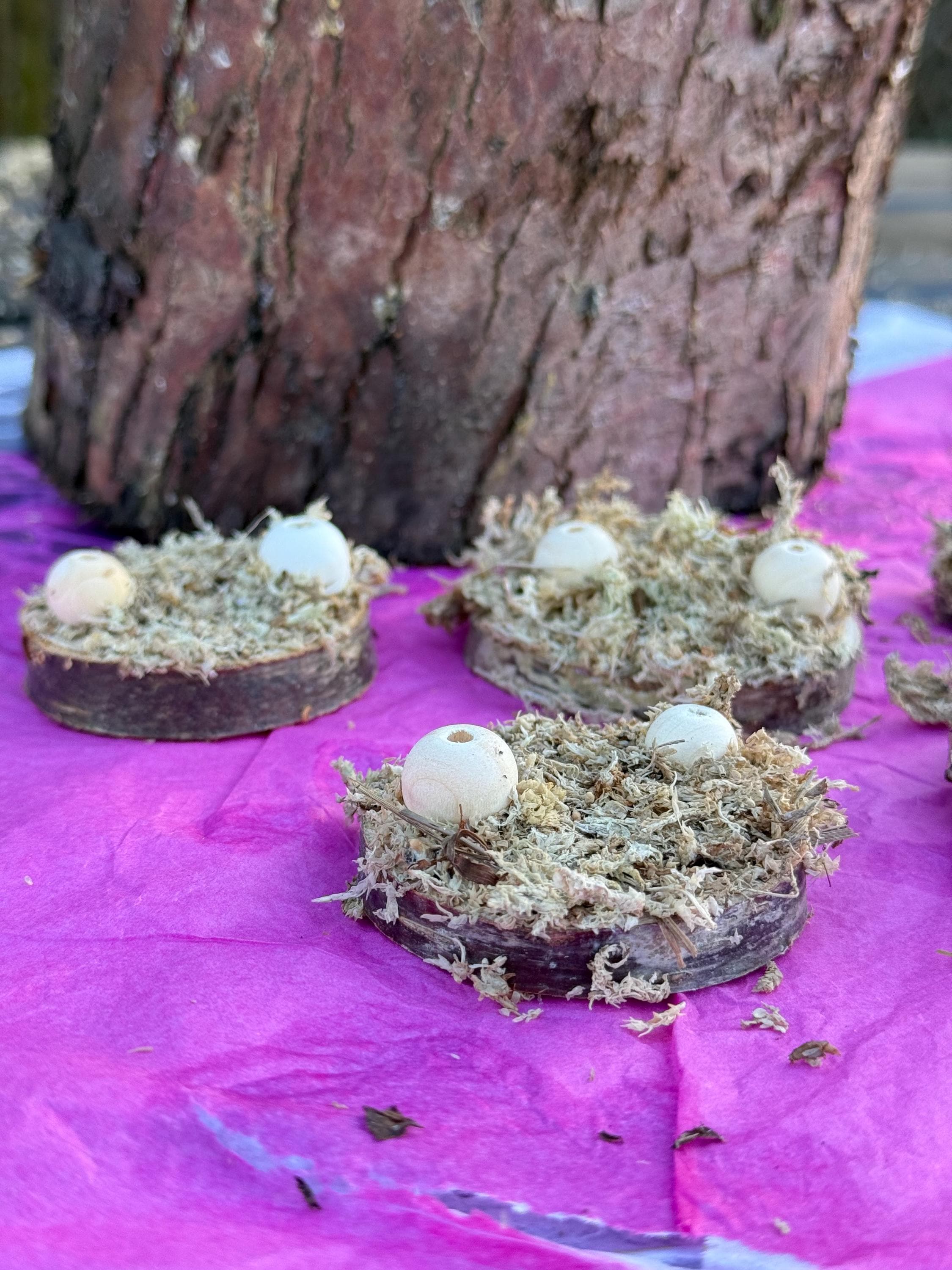 Moss Covered Hamster Spray Holder: Natural Foraging Enrichment