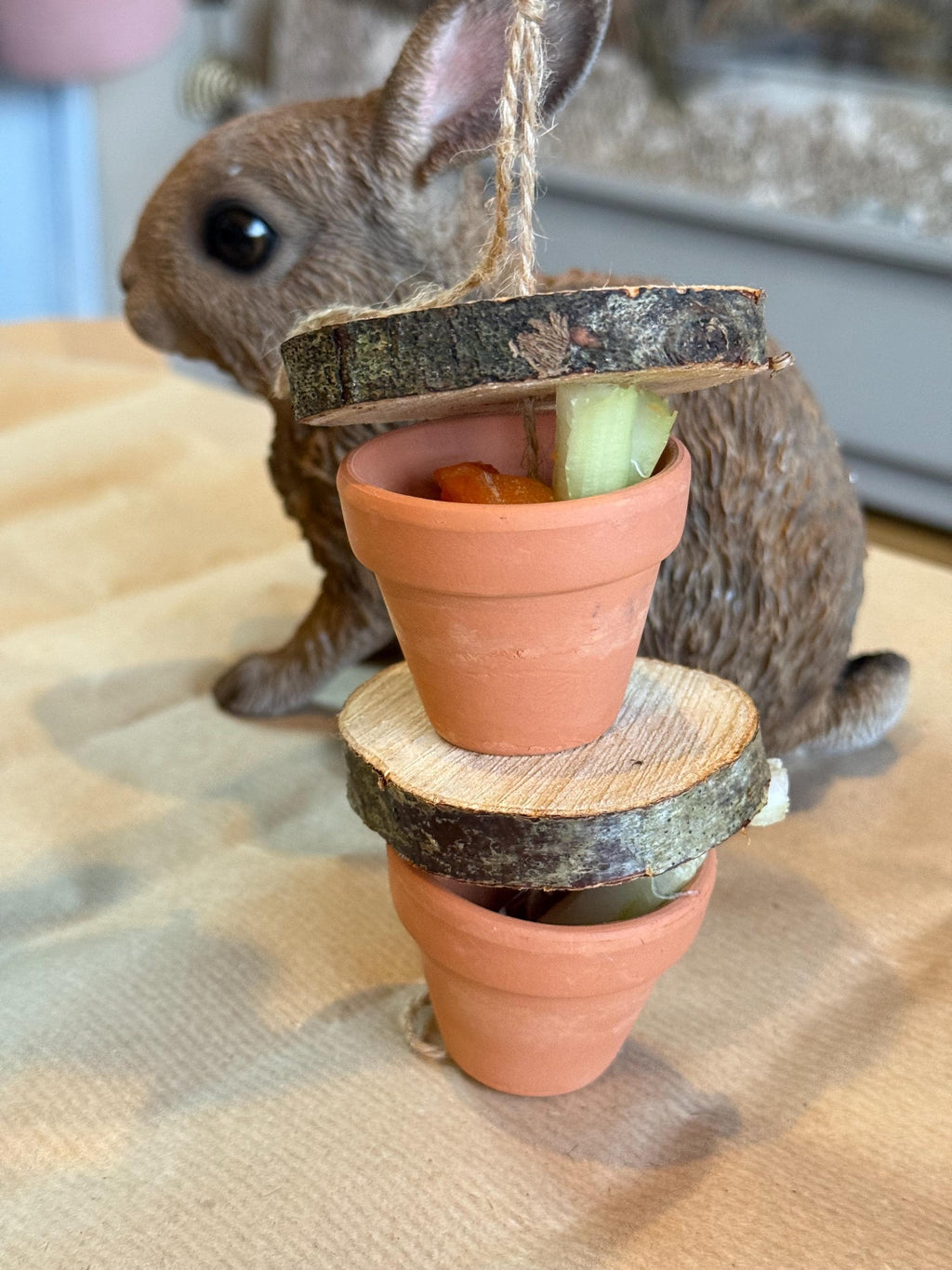Hanging Foraging Pots & Wood Slices, Veg Hiding Toy For Rabbits, Guineapigs and Small Animals