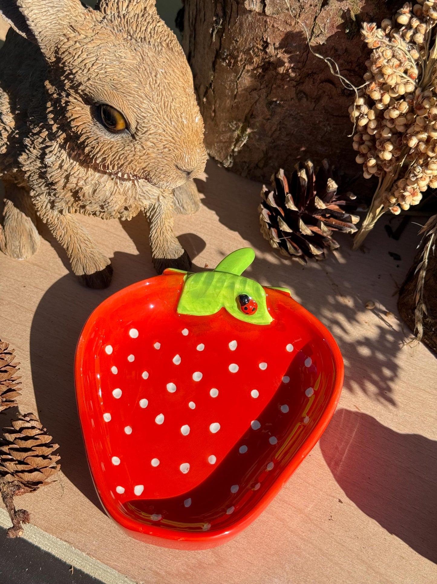 Strawberry Hamster Bowl Spotted Food Dish