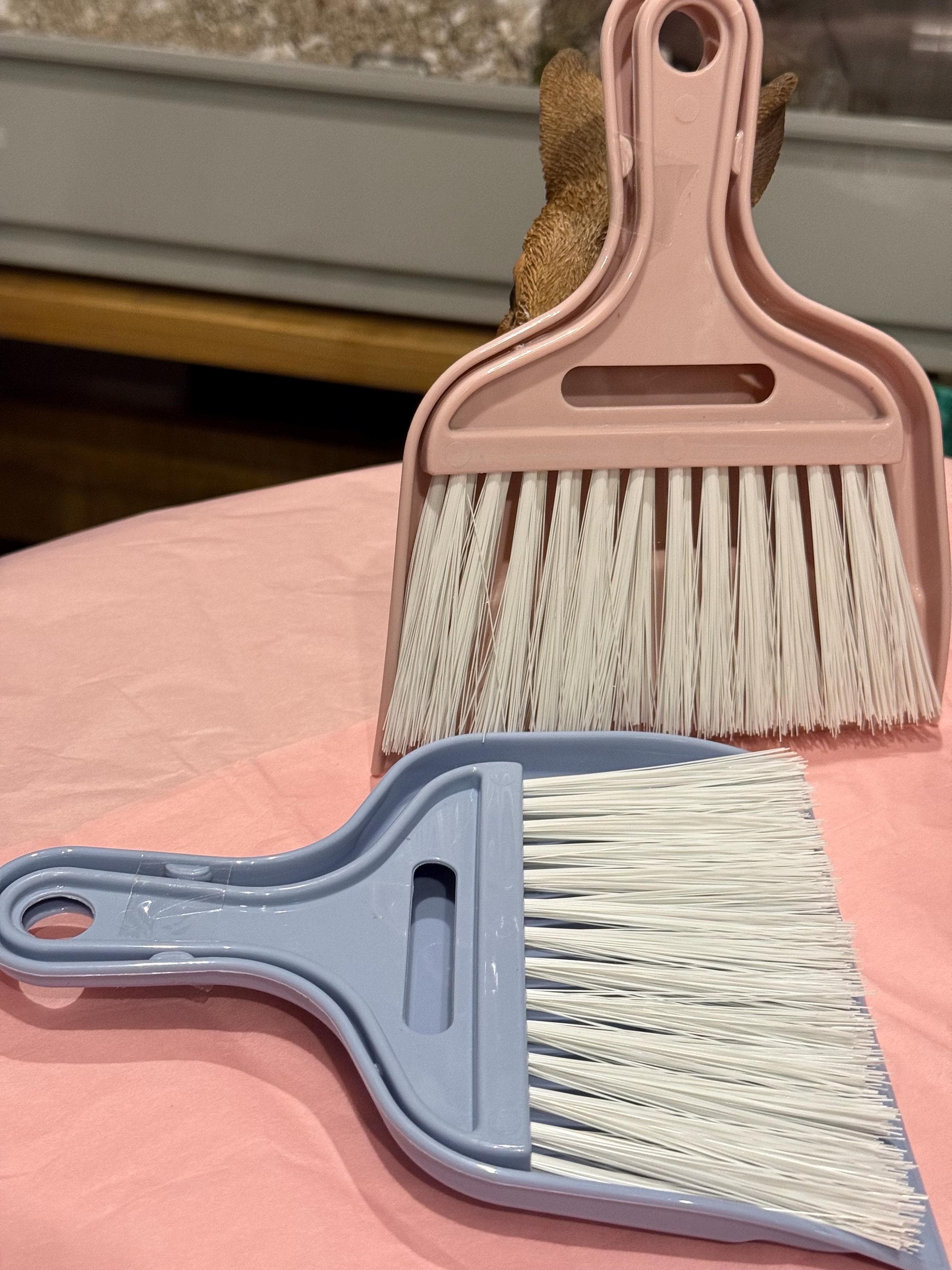 Mini Dustpan & Brush for cleaning small animals enclosures