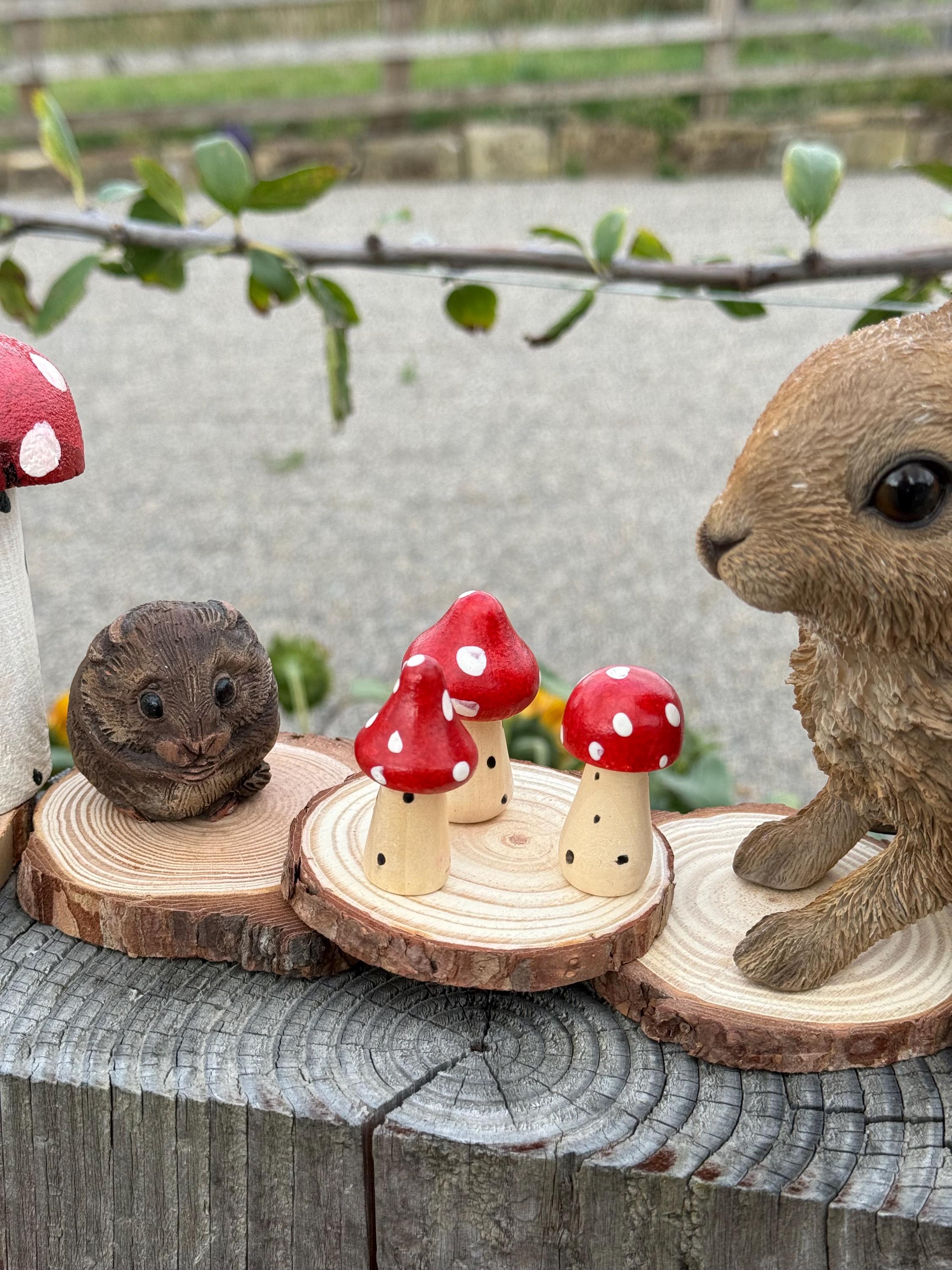Mushroom Hamster Cage Decoration Wood Slice