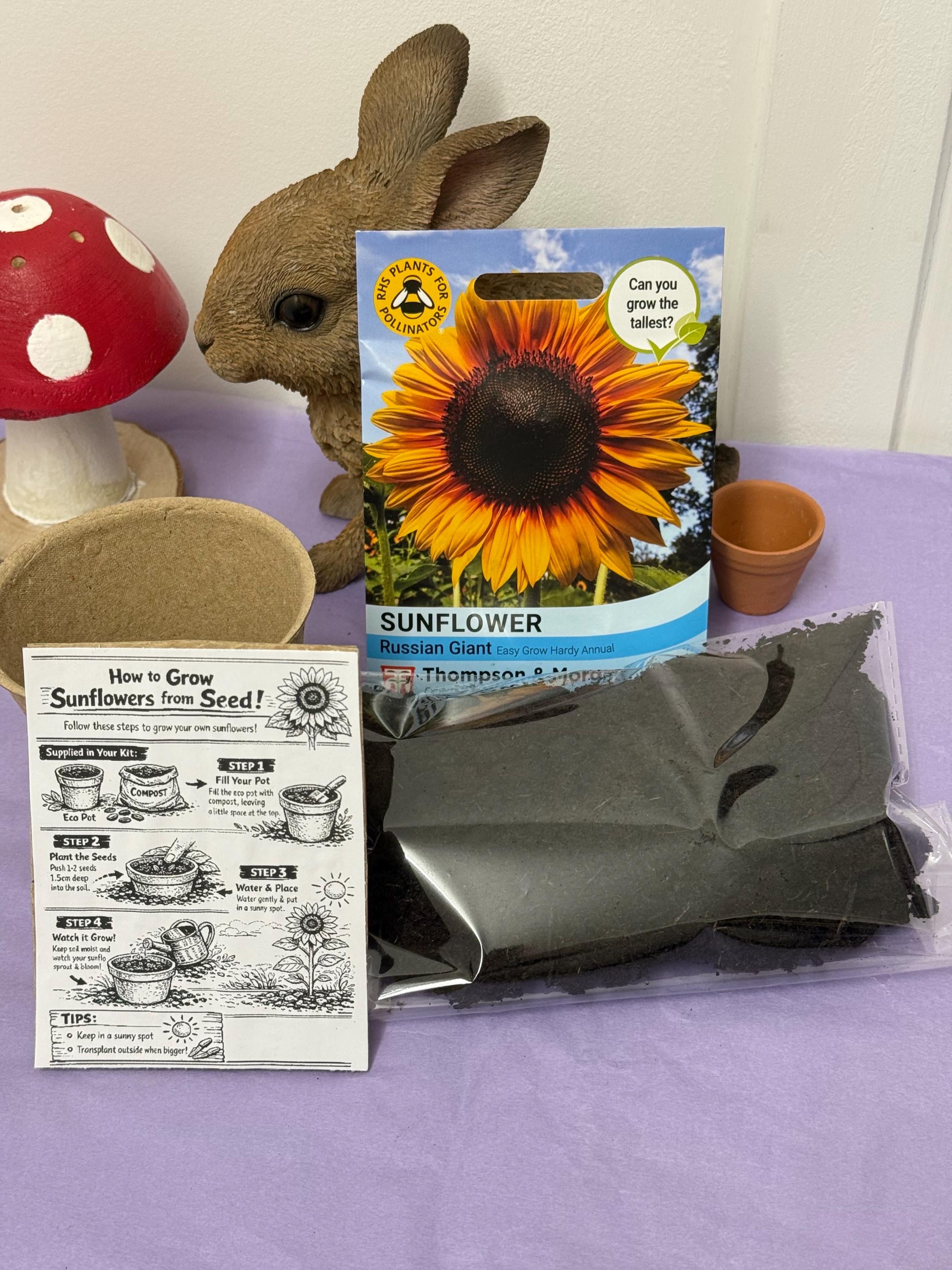 Grow Your Own Sunflower Kit! Eco Friendly Gift