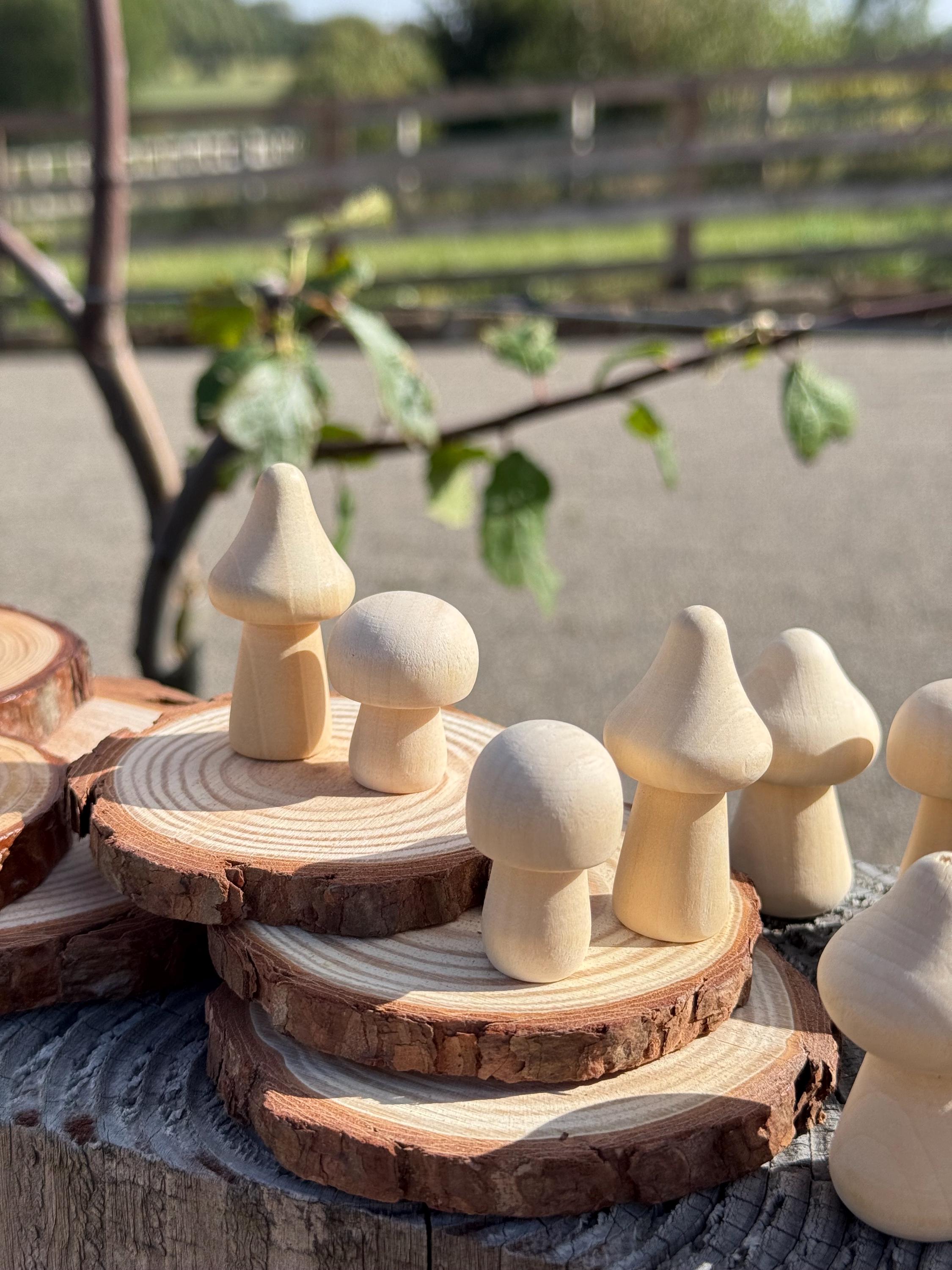 Wooden Mushrooms Hamster Chew | Woodland Decor| Cottage Decoration Fairy