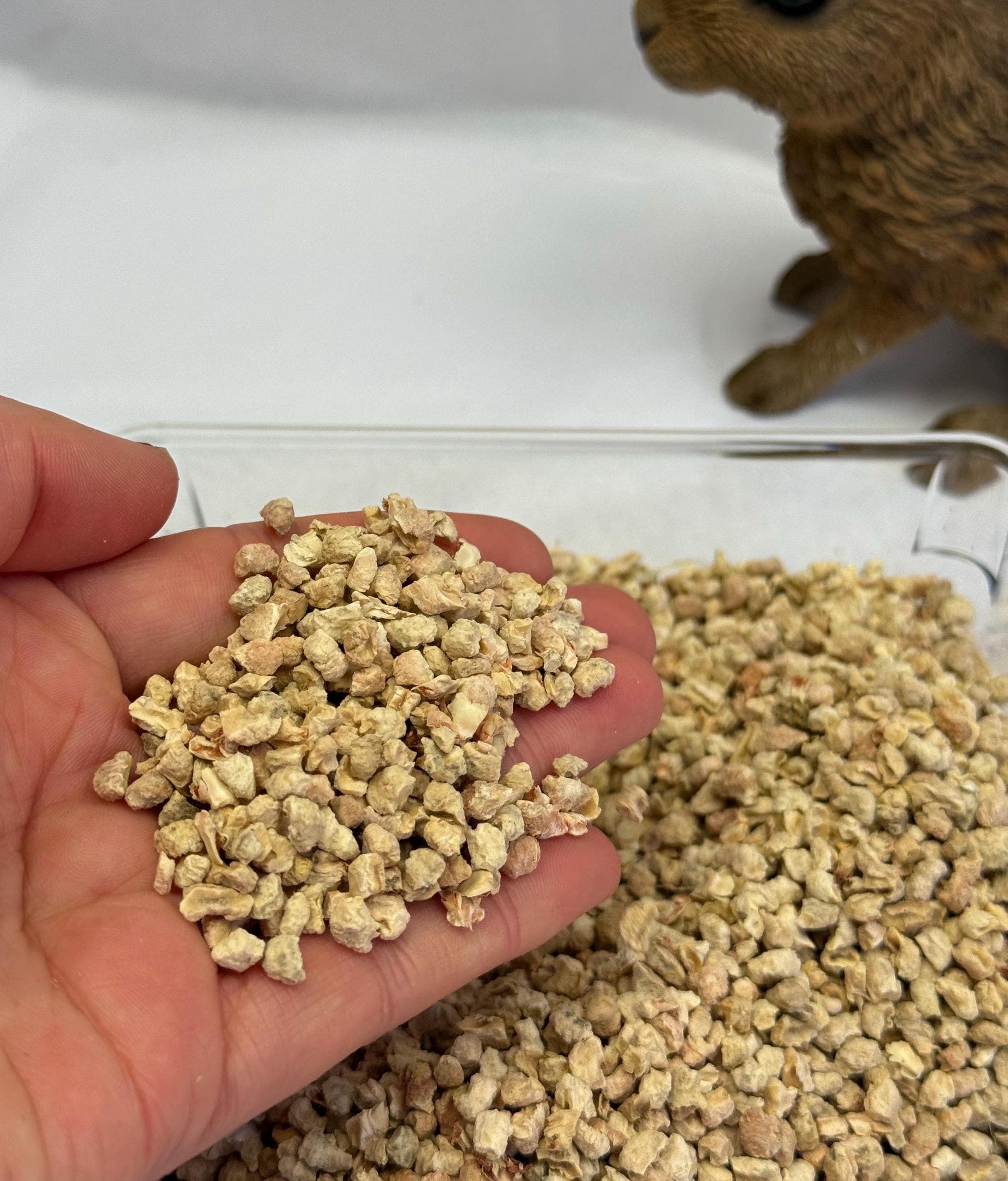 Corncob Granuels Hamster Substrate: Natural Digging Material