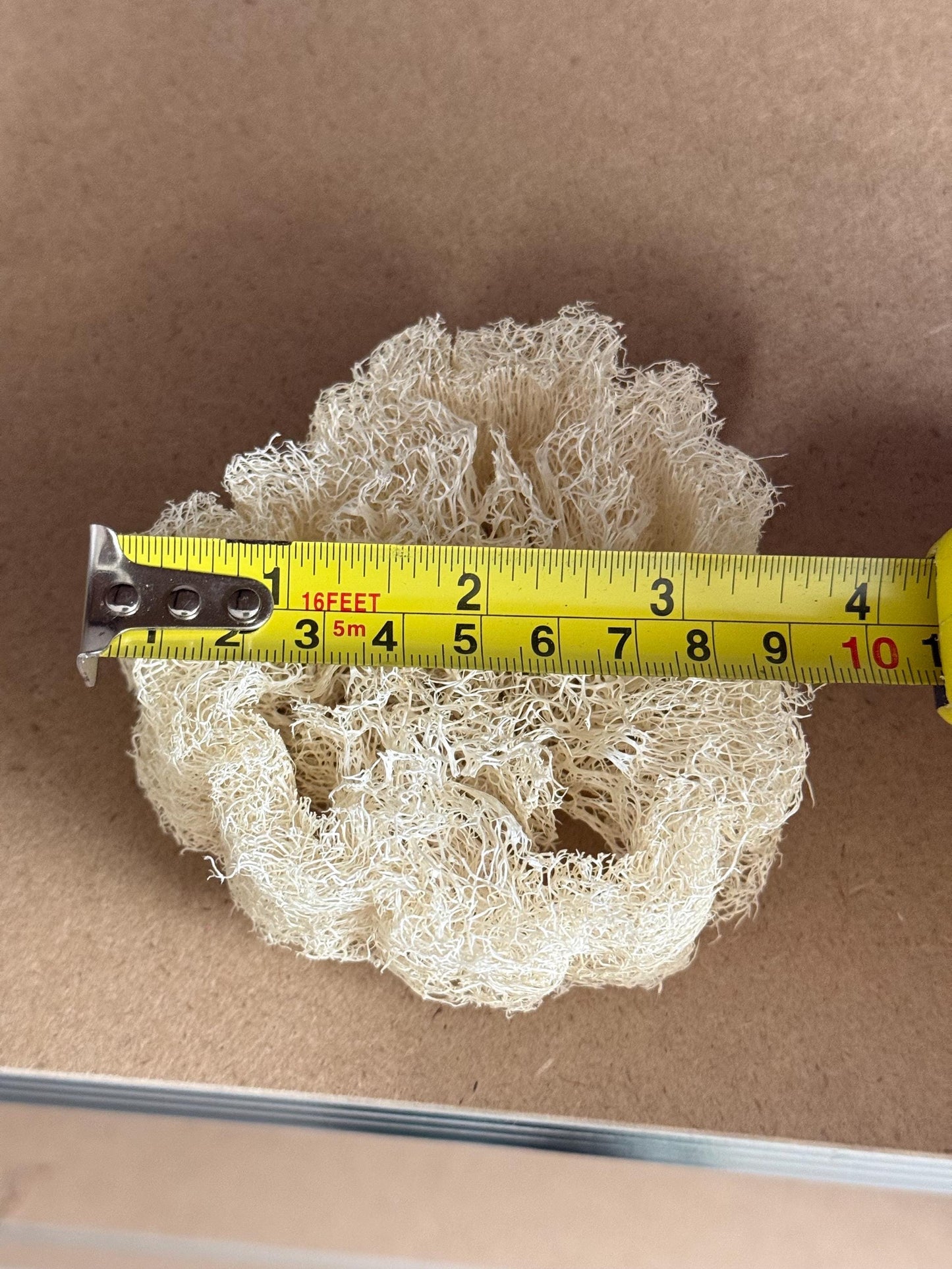Chunky Natural Loofah Slice Thick - Enrichment For Small Animals