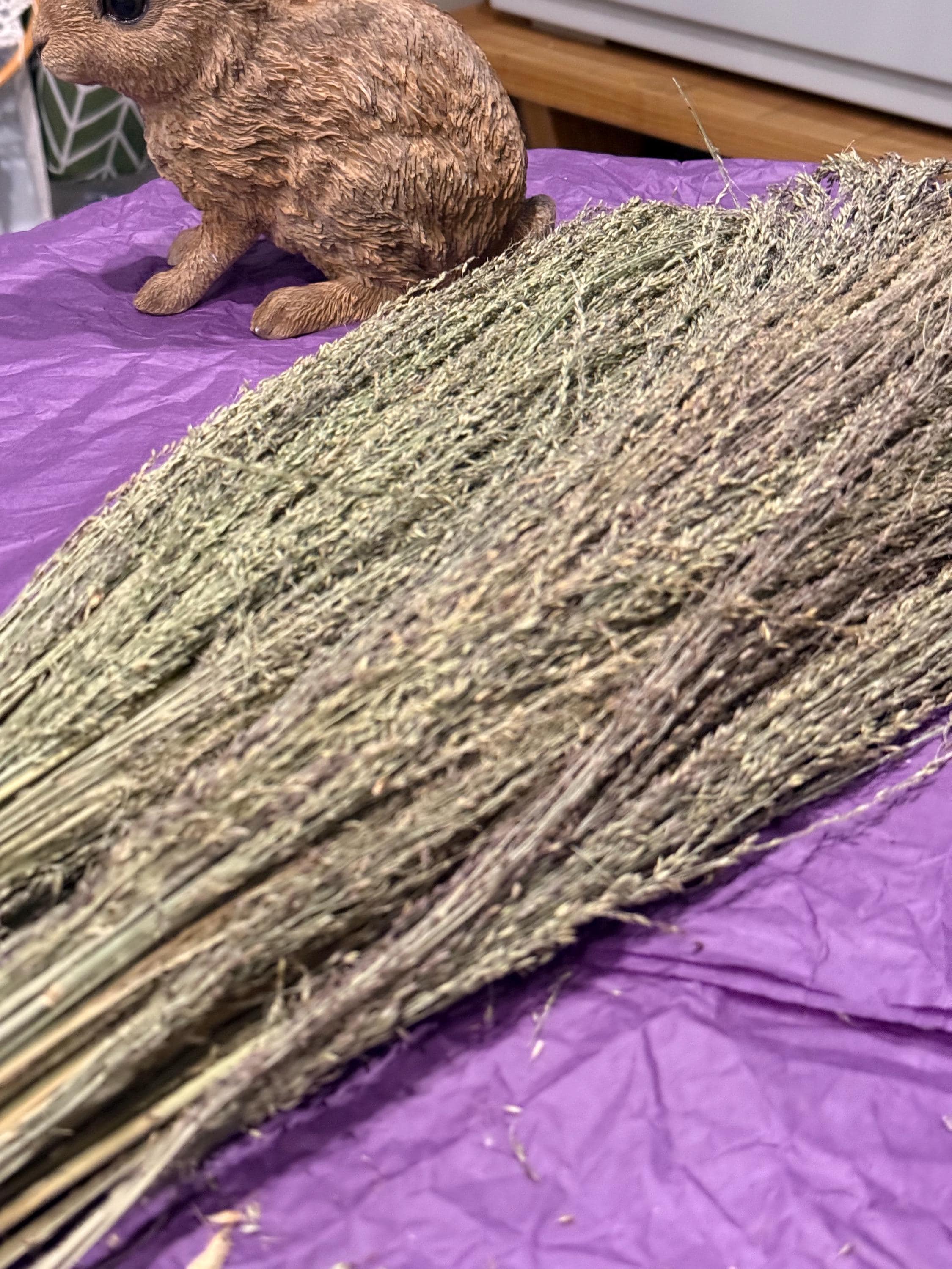 Organic Pagima Grass Sprays For Hamsters