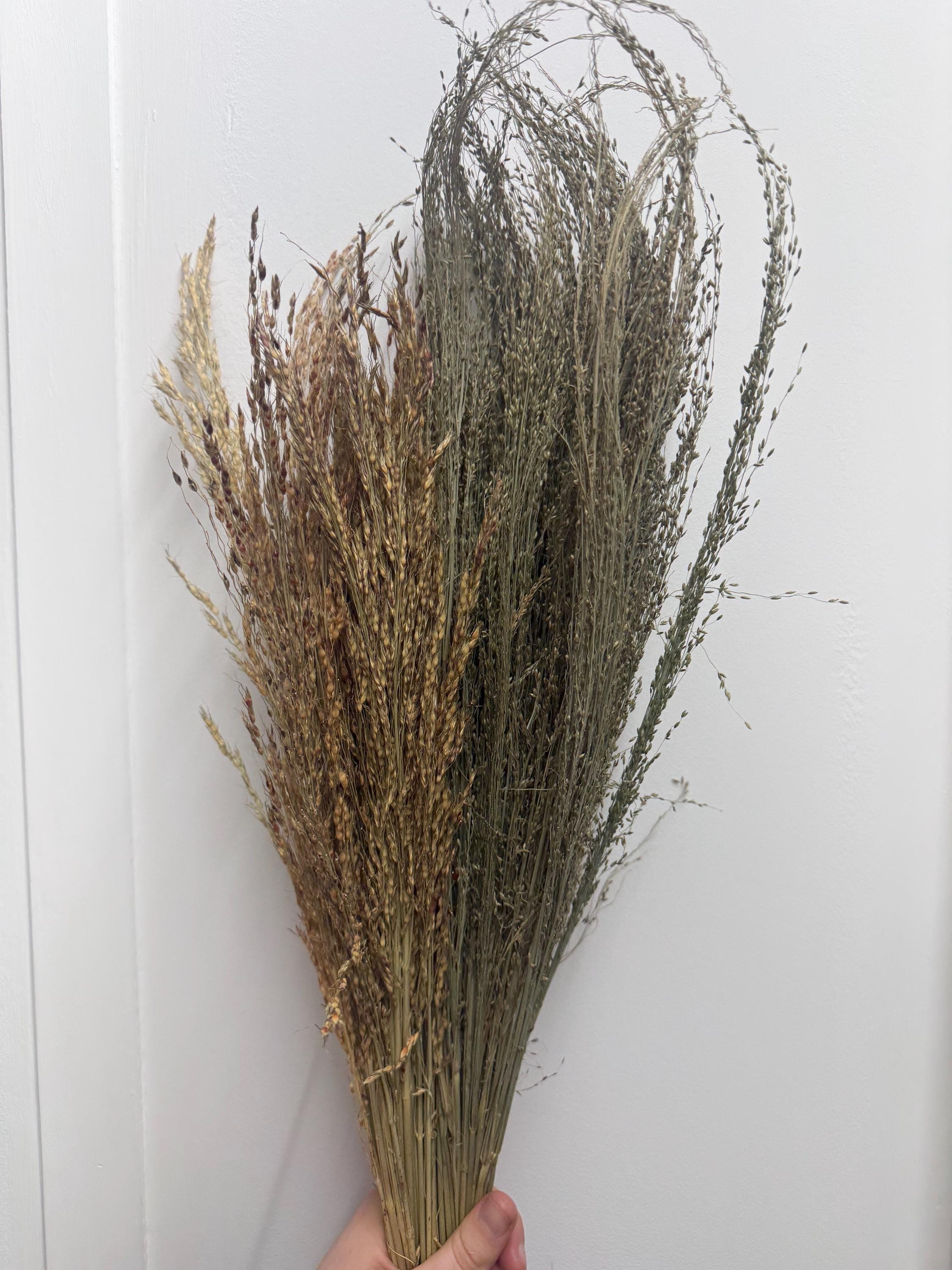 100g Delicha & Pagima Grass Sprays For Hamsters