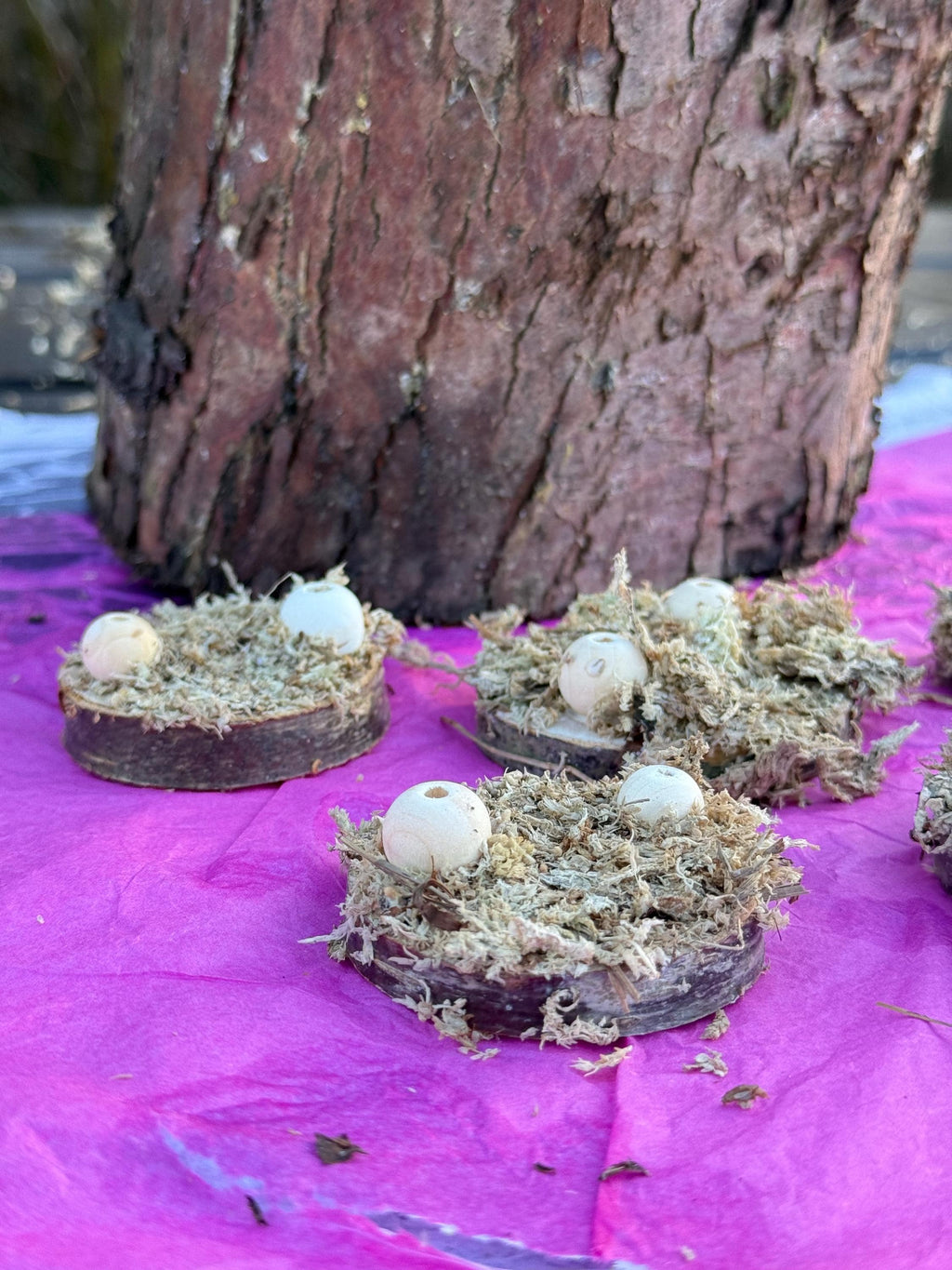 Moss Covered Hamster Spray Holder: Natural Foraging Enrichment