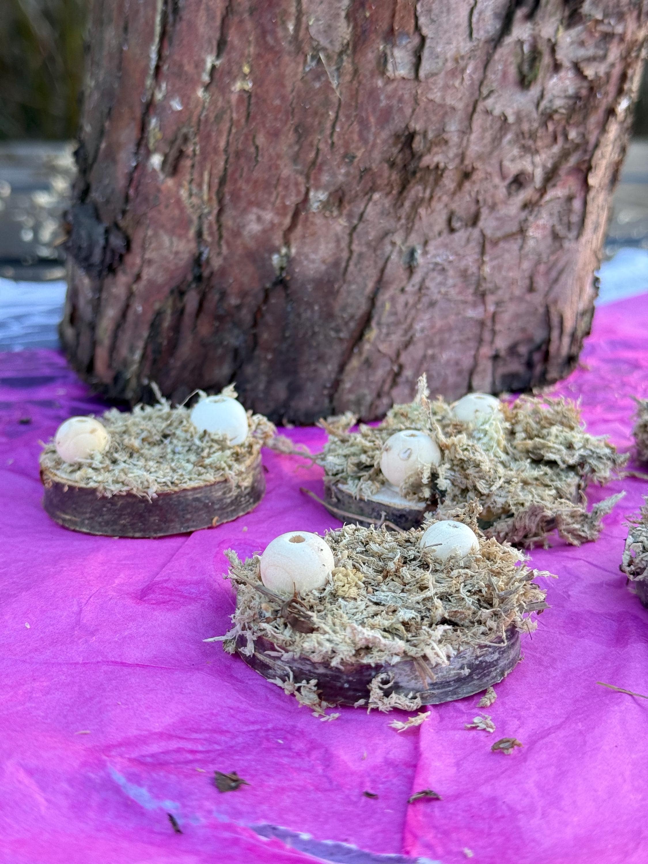 Moss Covered Hamster Spray Holder: Natural Foraging Enrichment