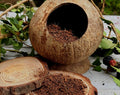 Pre-Dried Coco Coir Hamster Substrate: Natural Digging Material