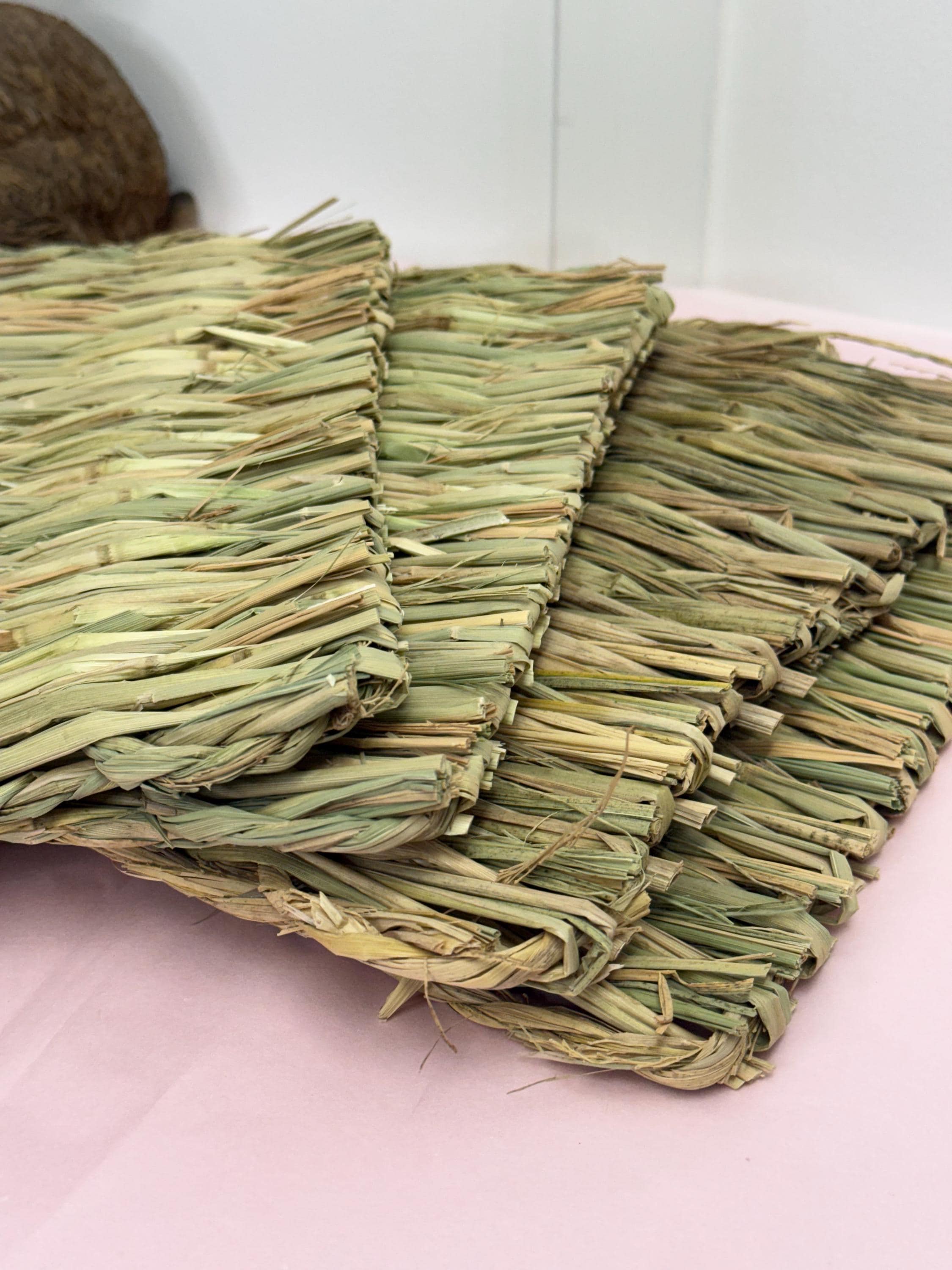Grass Mats For Small Animal Cage Enrichment Rabbits, Guineapigs, Hamsters