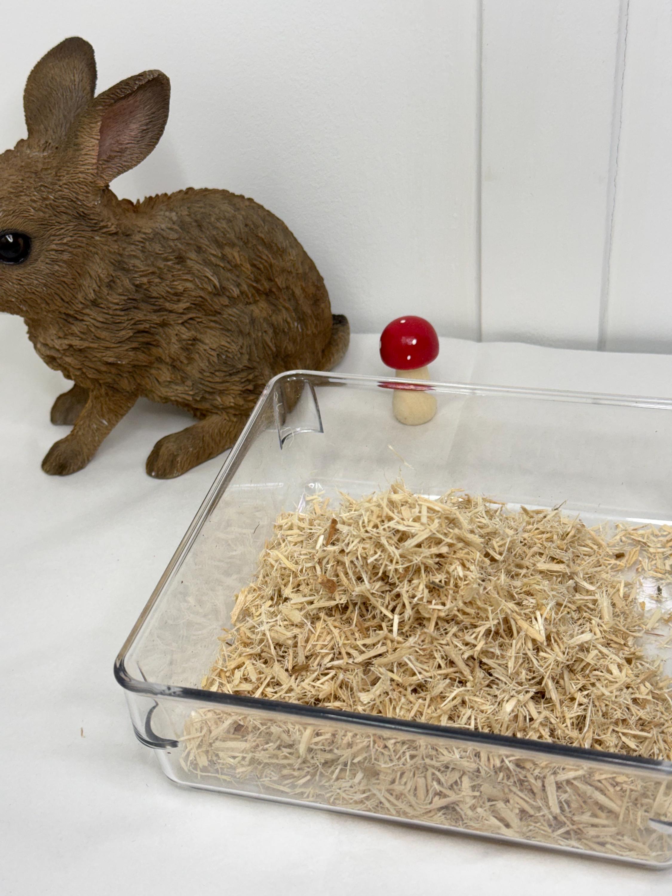 Aspen Shavings Hamster Substrate: Natural Digging Material