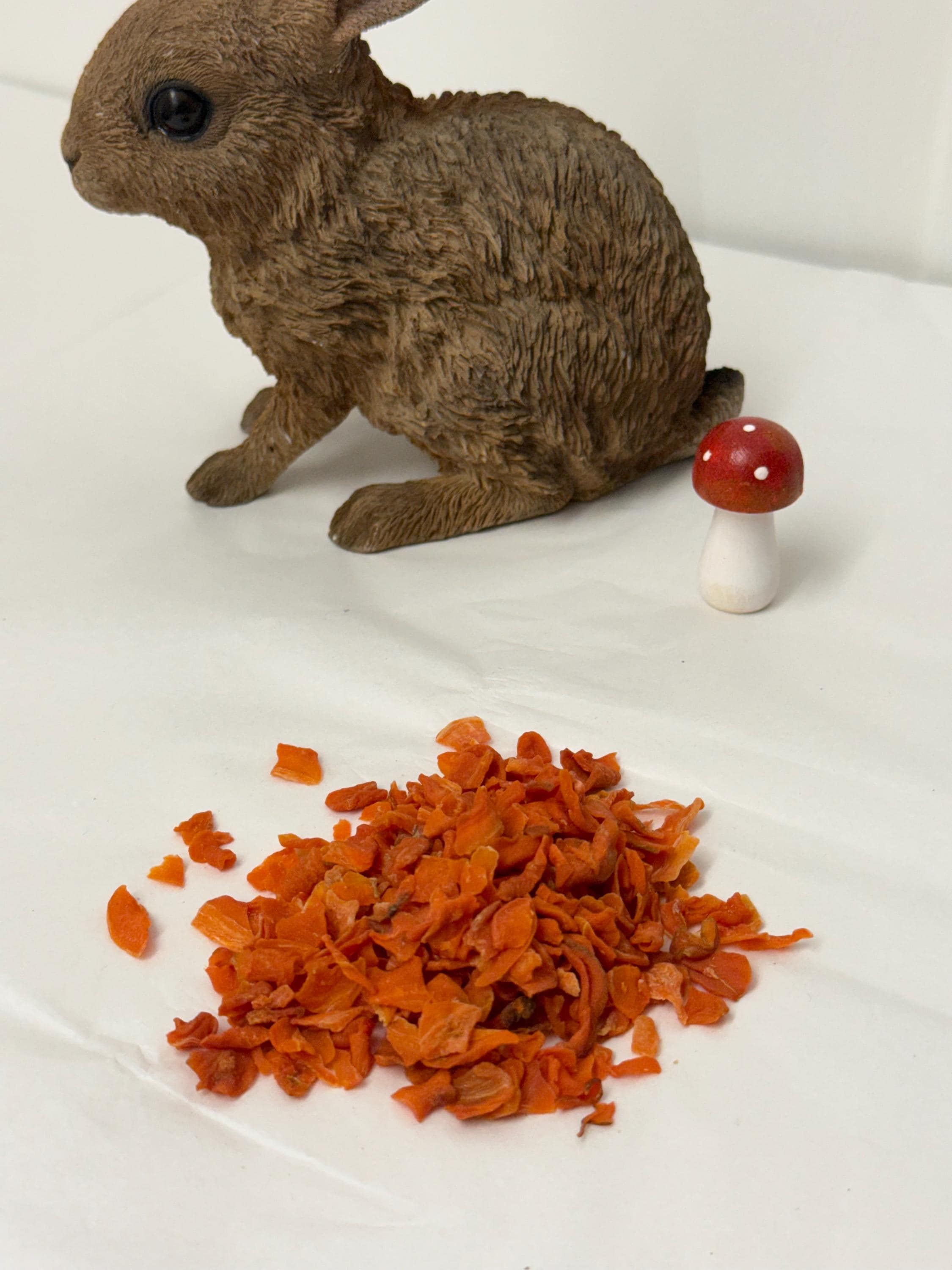 Dried Carrot Flakes For Small Animals Hamster Treats