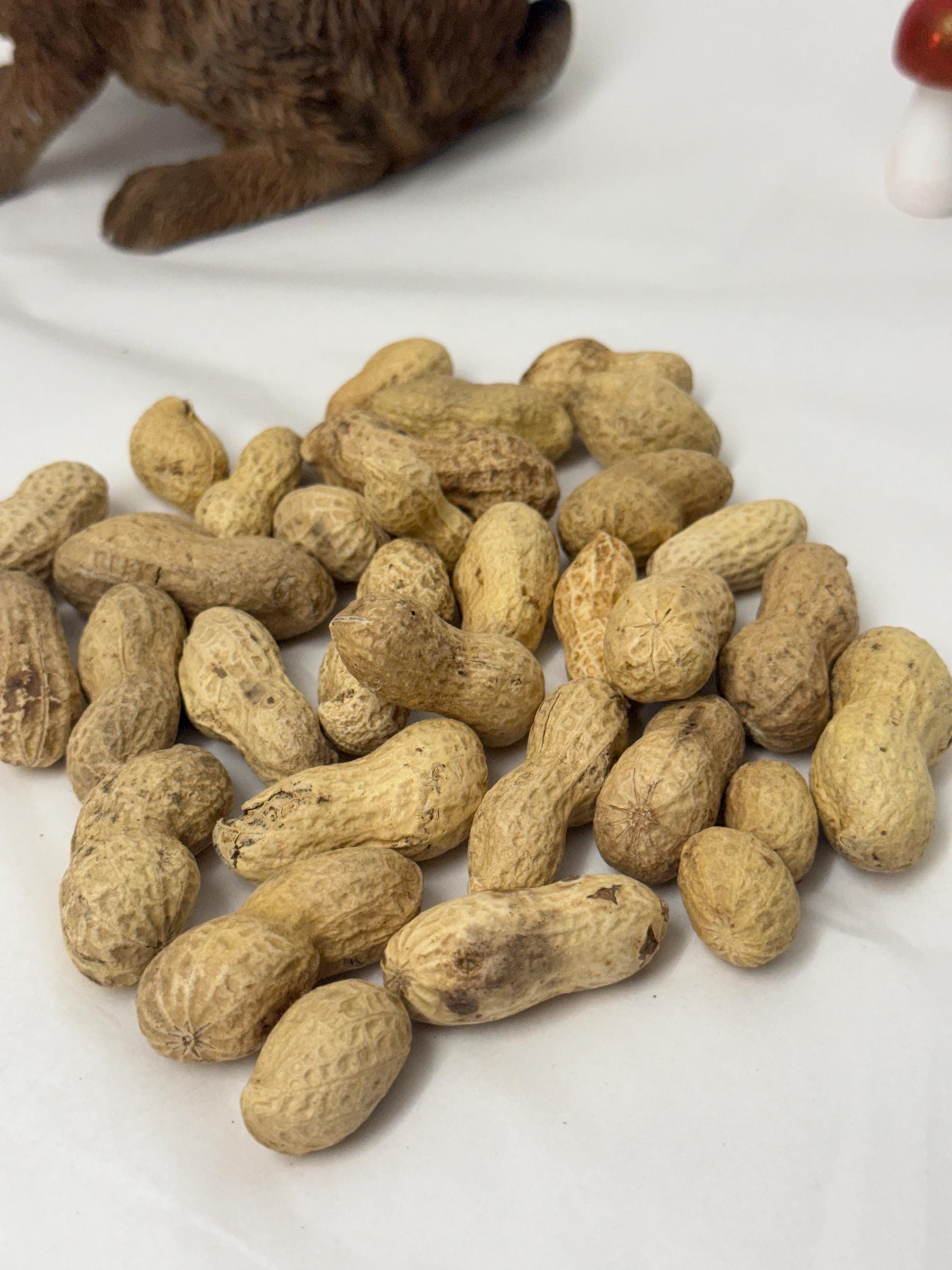 Whole Peanuts in Shell Natural Enrichment For Hamsters & Gerbils