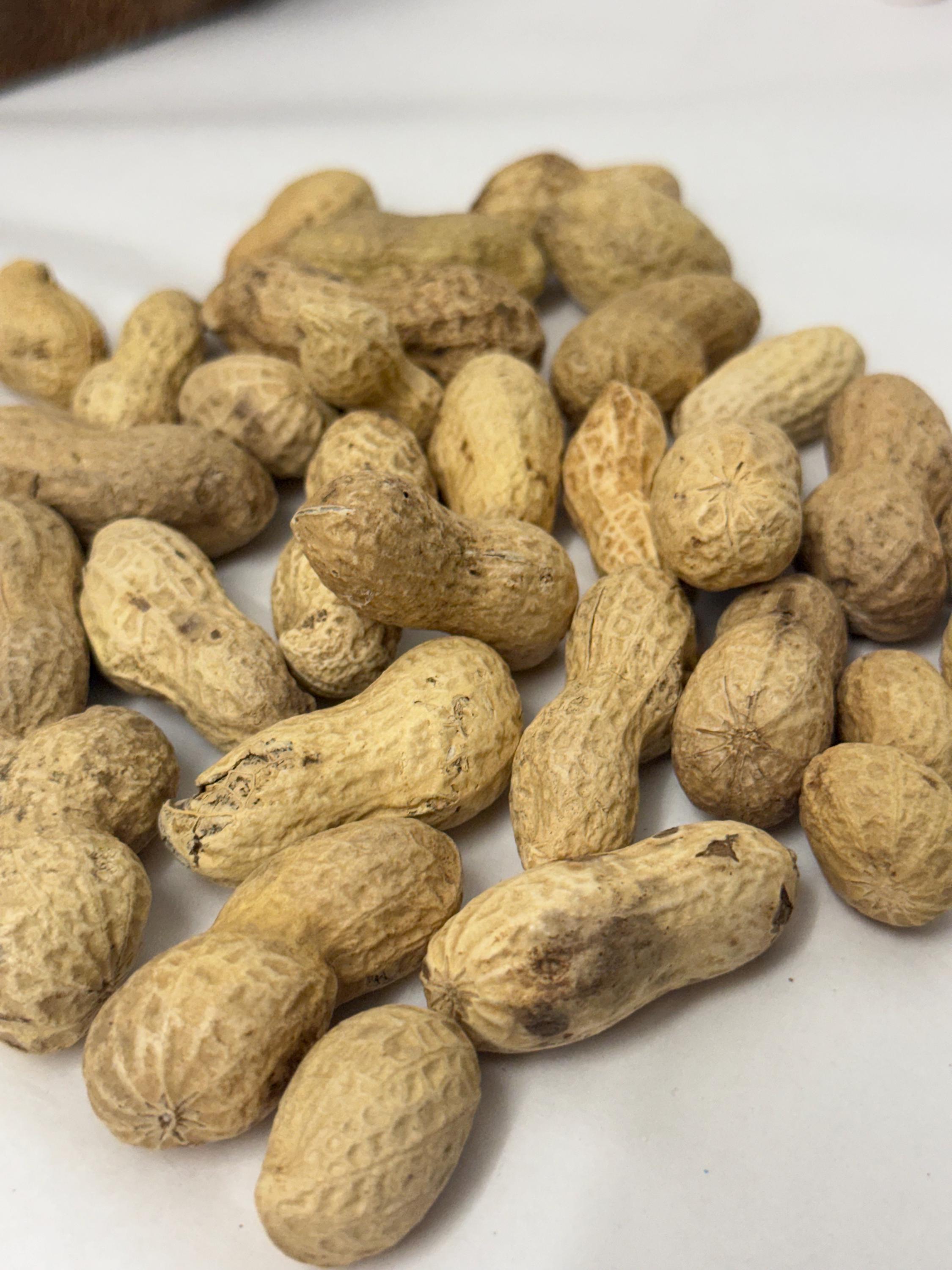 Whole Peanuts in Shell Natural Enrichment For Hamsters & Gerbils
