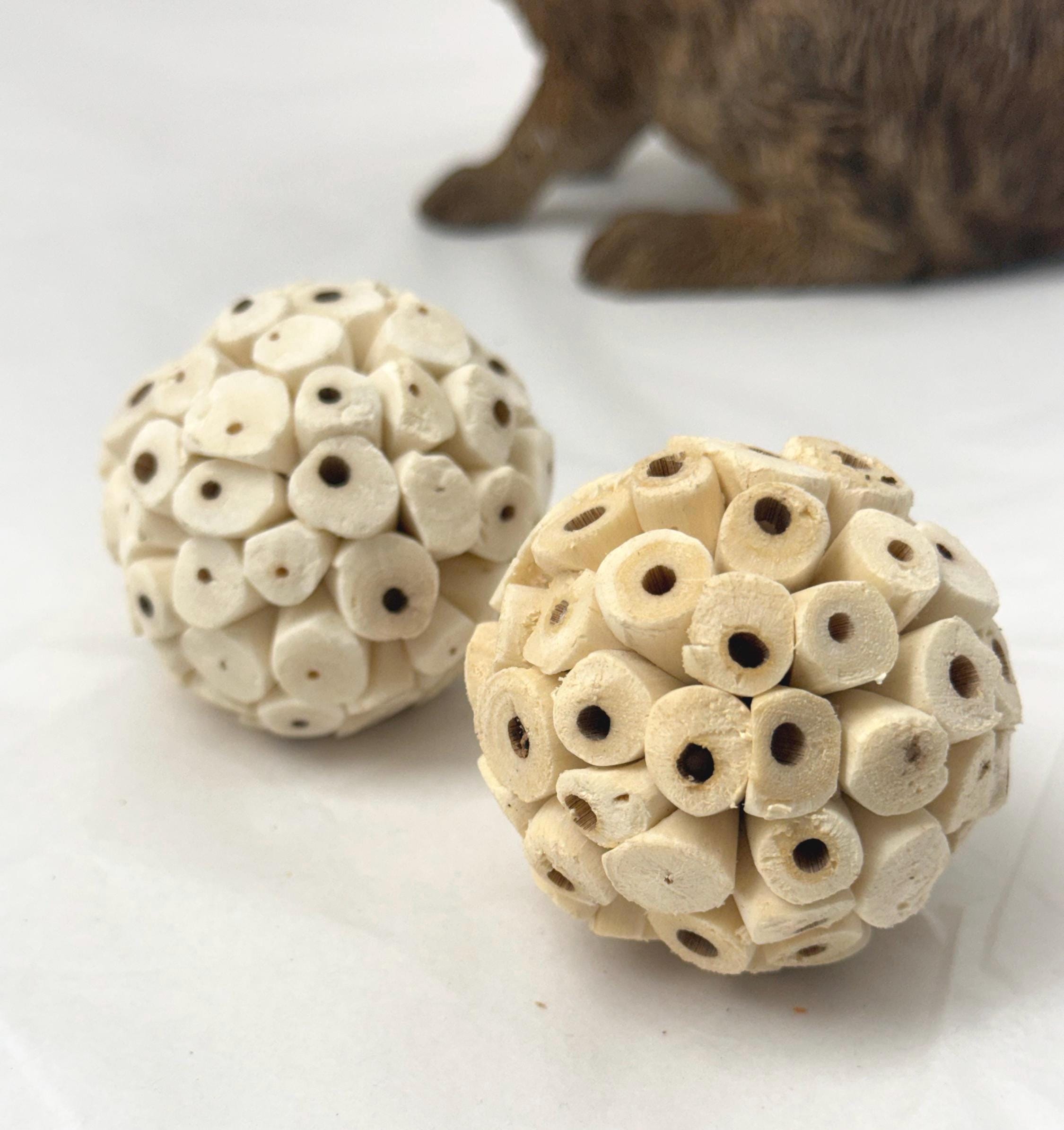 Sola Ball Enrichment For Hamsters, Parrots & Small Pets