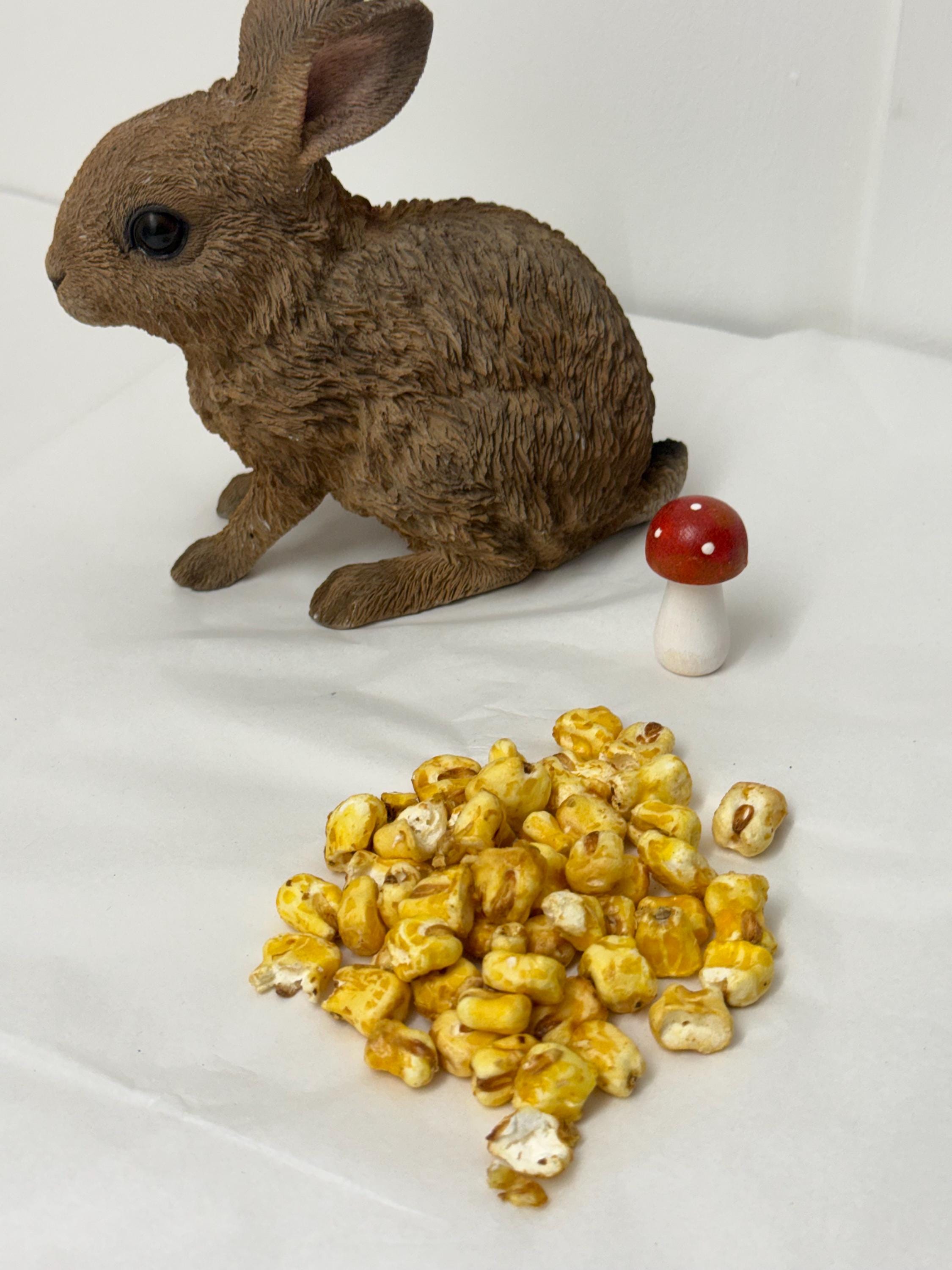 Puffed Corn Treats, for Hamsters, Rats, Birds