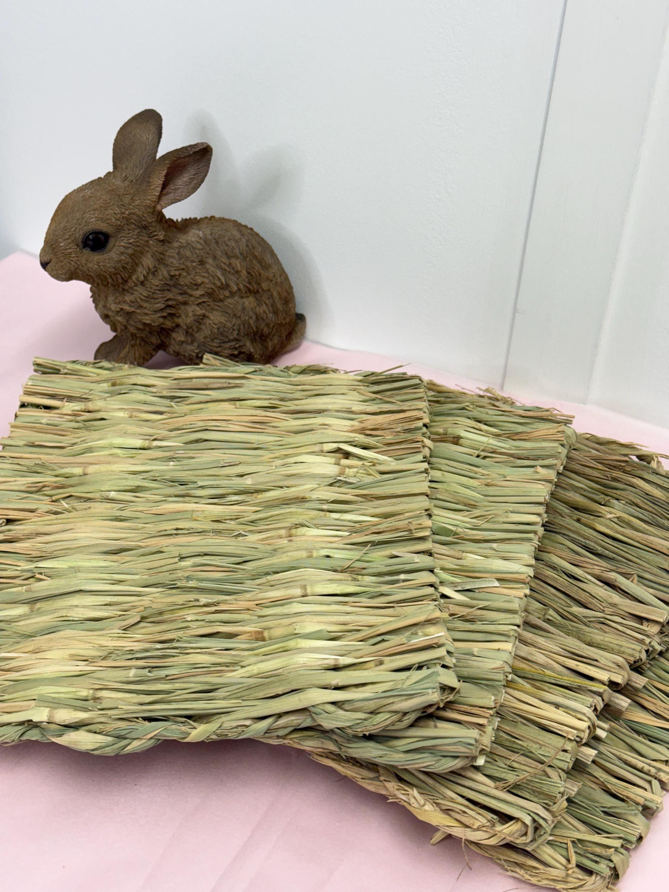 Grass Mats For Small Animal Cage Enrichment Rabbits, Guineapigs, Hamsters