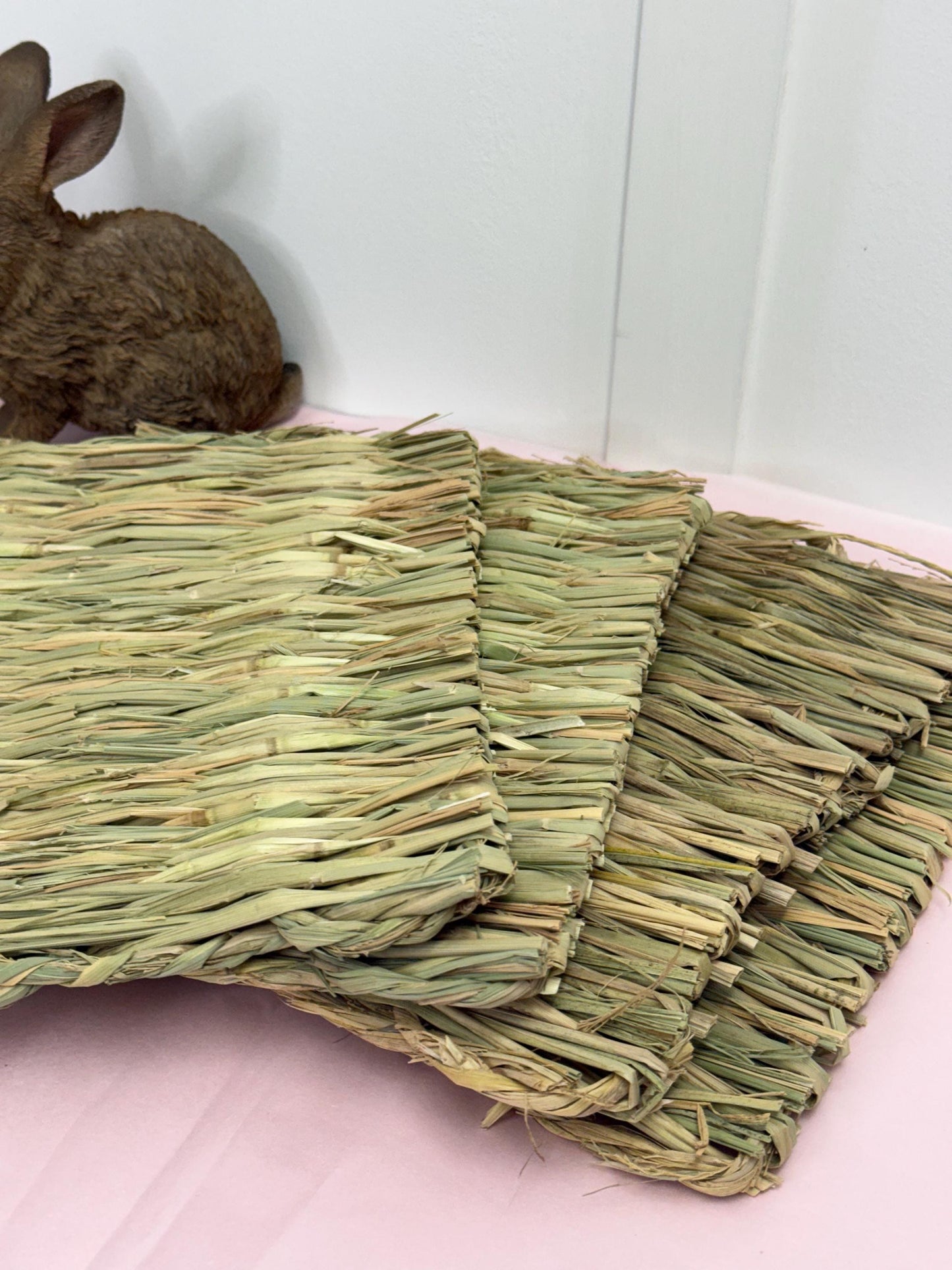 Grass Mats For Small Animal Cage Enrichment Rabbits, Guineapigs, Hamsters