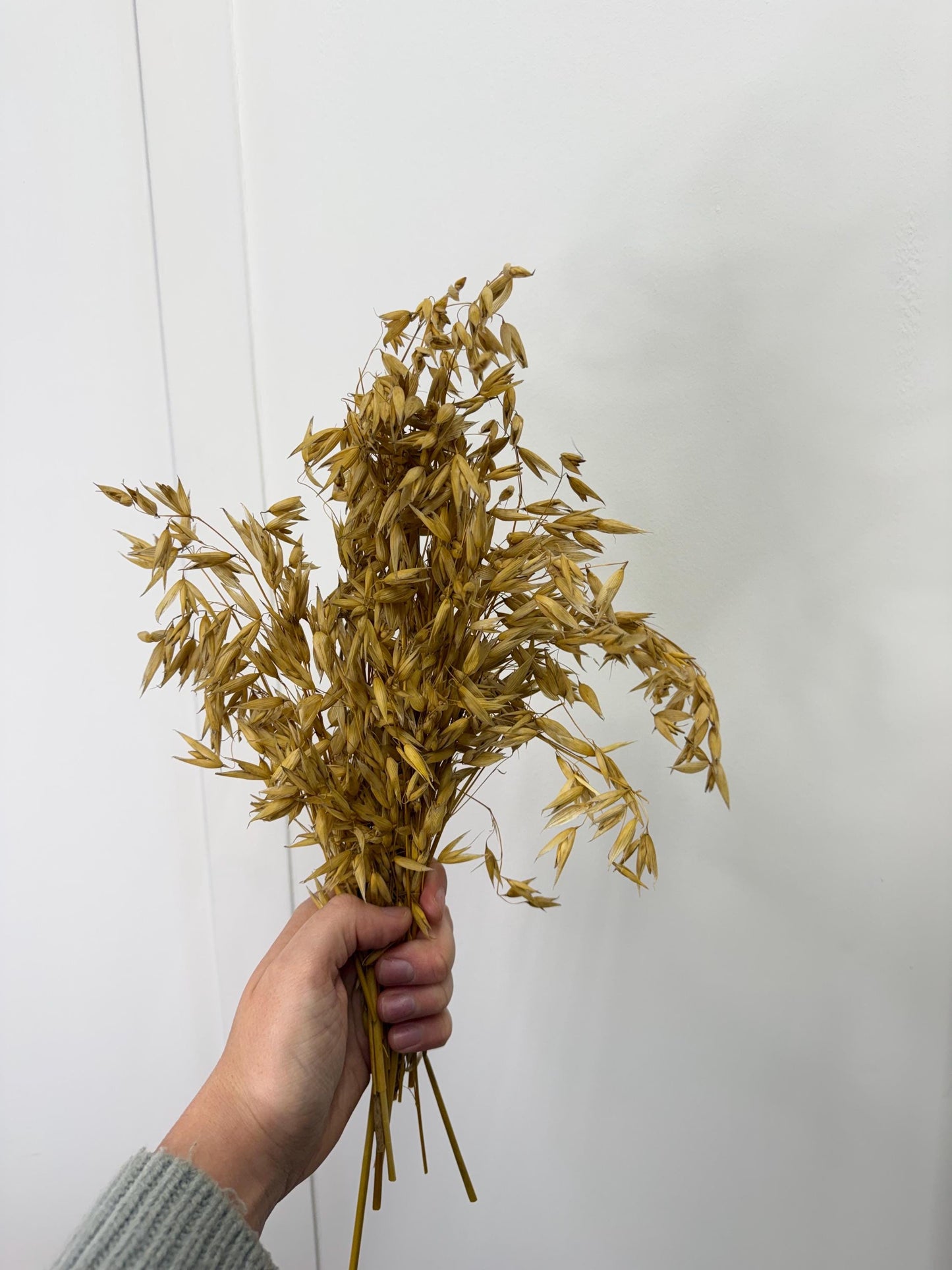 Natural Dried Oat Sprays For Small Animal Enrichment