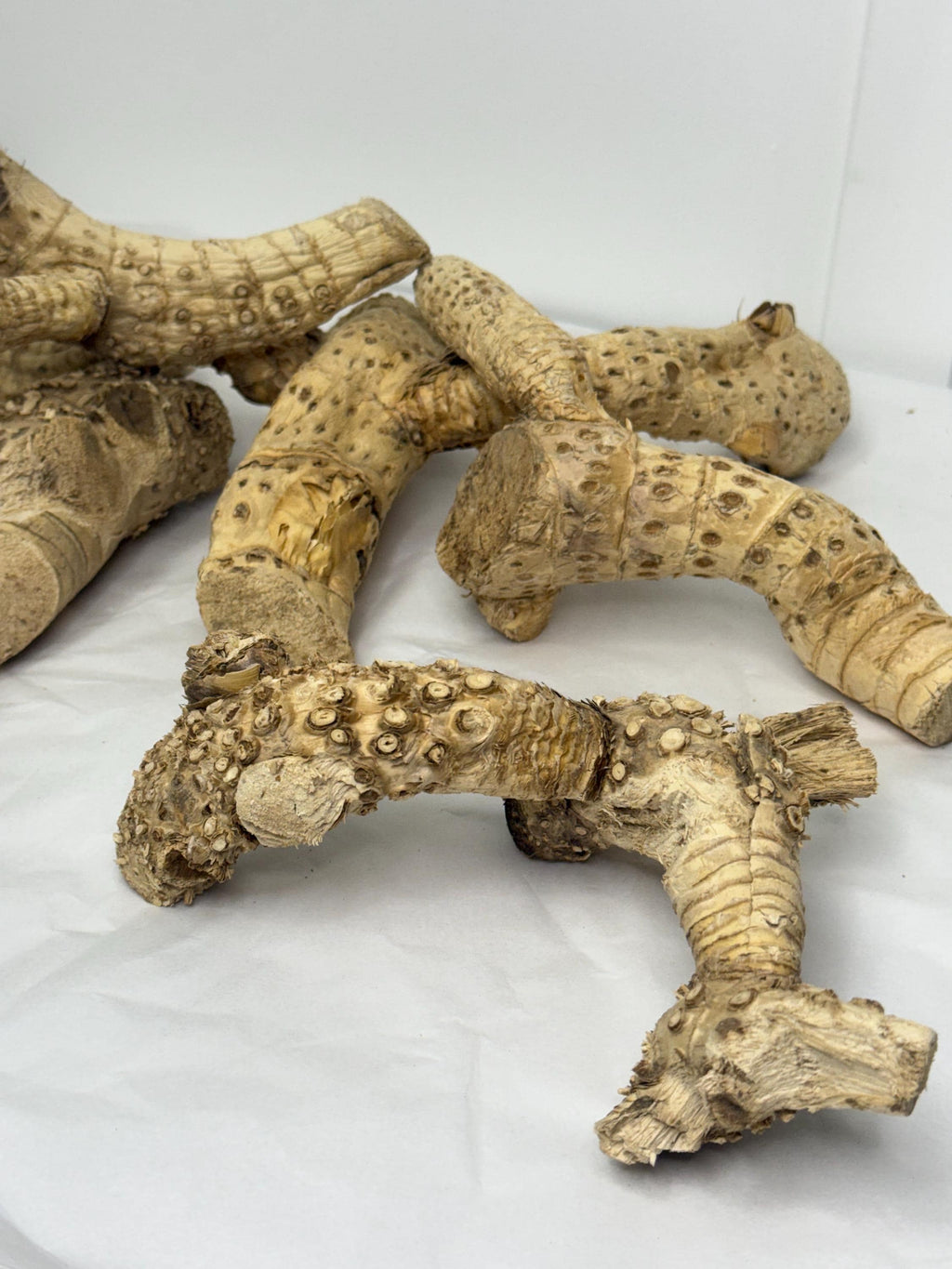 Bamboo Root For Hamster Cages, Reptile Tank Decor