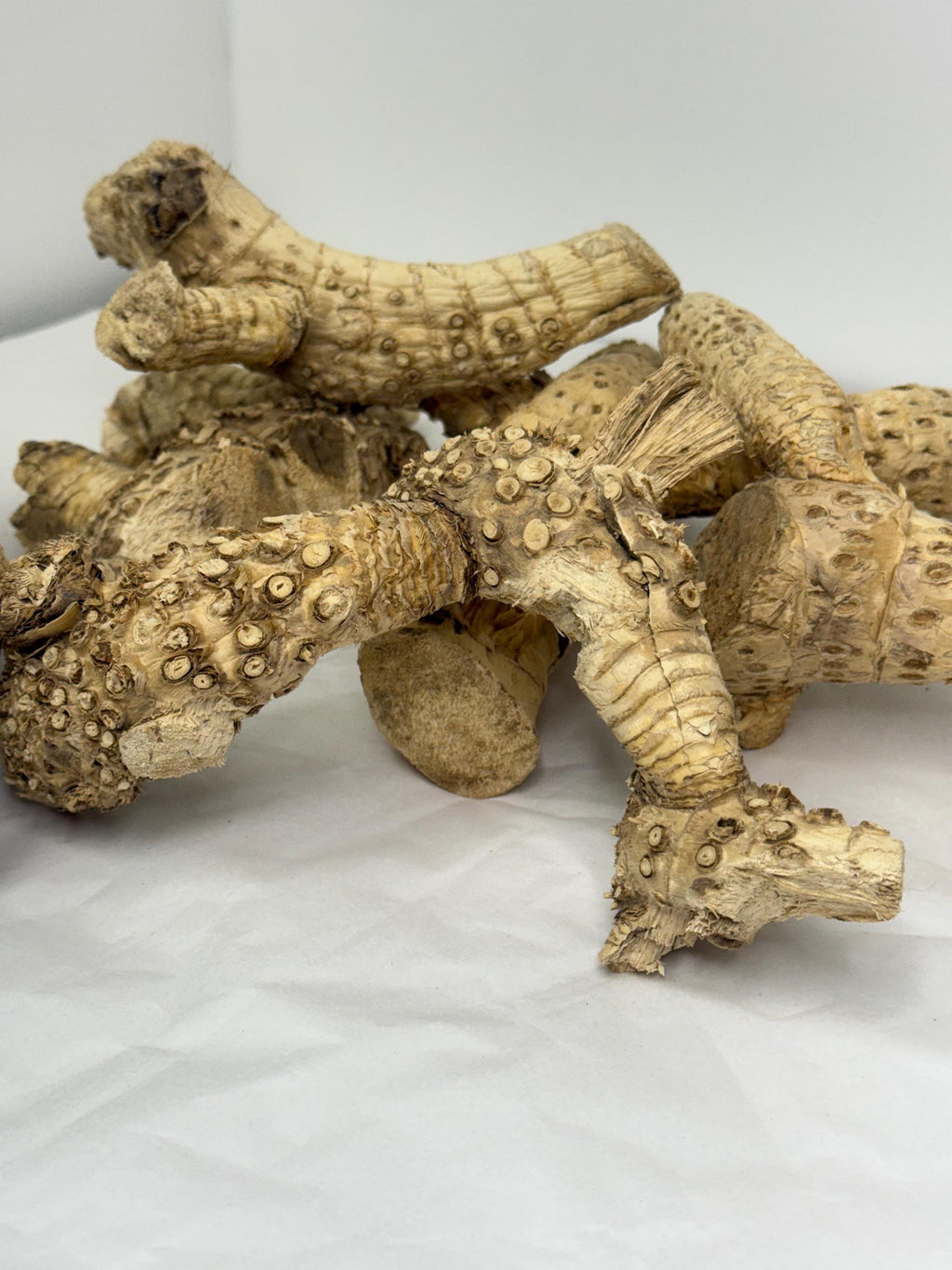 Bamboo Root For Hamster Cages, Reptile Tank Decor