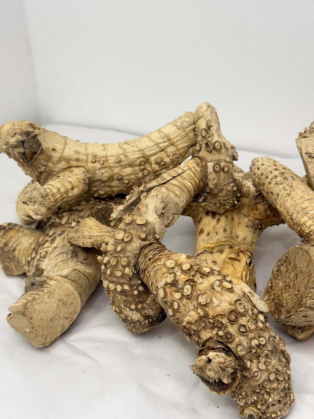 Bamboo Root For Hamster Cages, Reptile Tank Decor